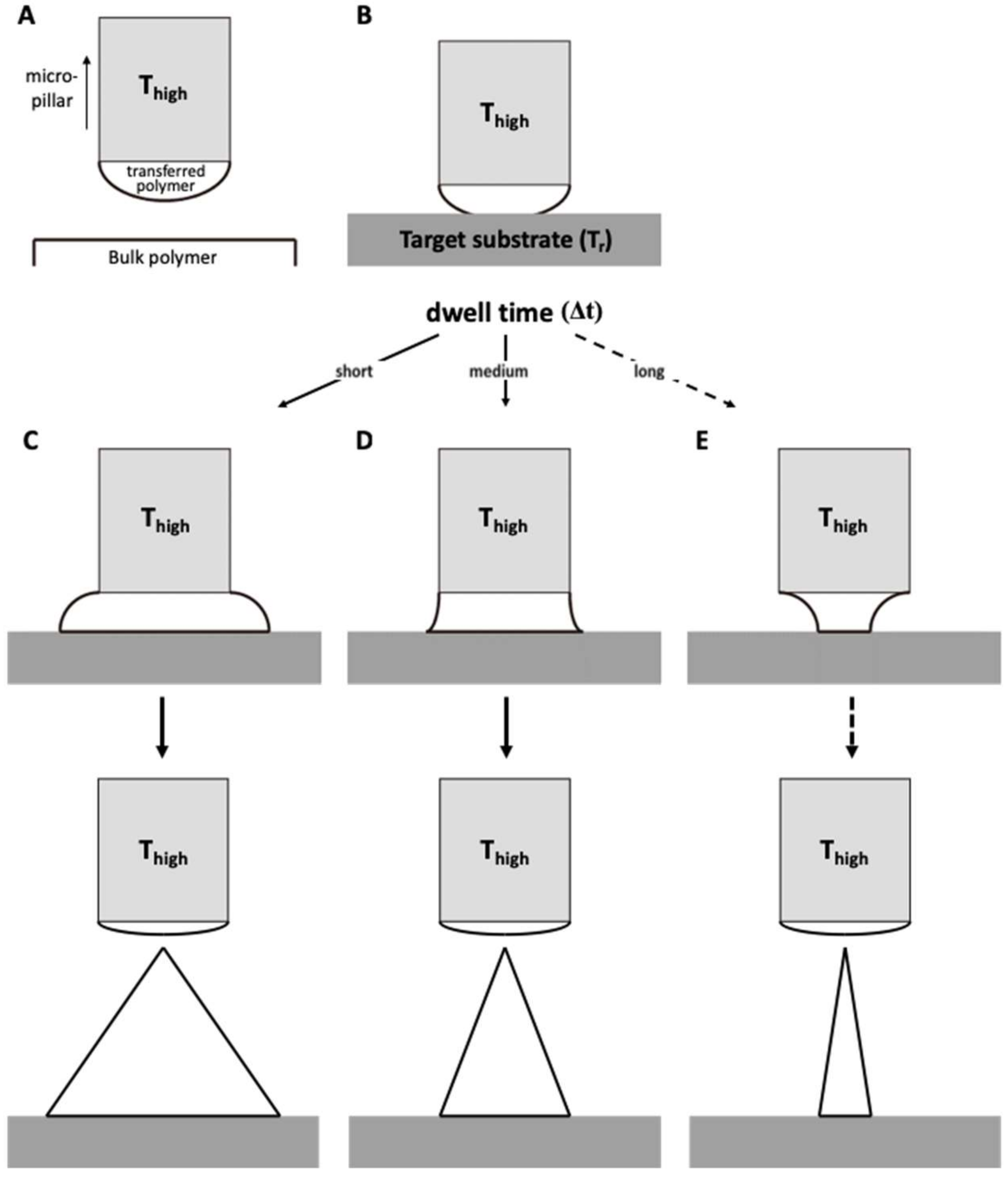 Pharmaceutics 11 00100 g003 Pharmaceutics 11 00100 g003