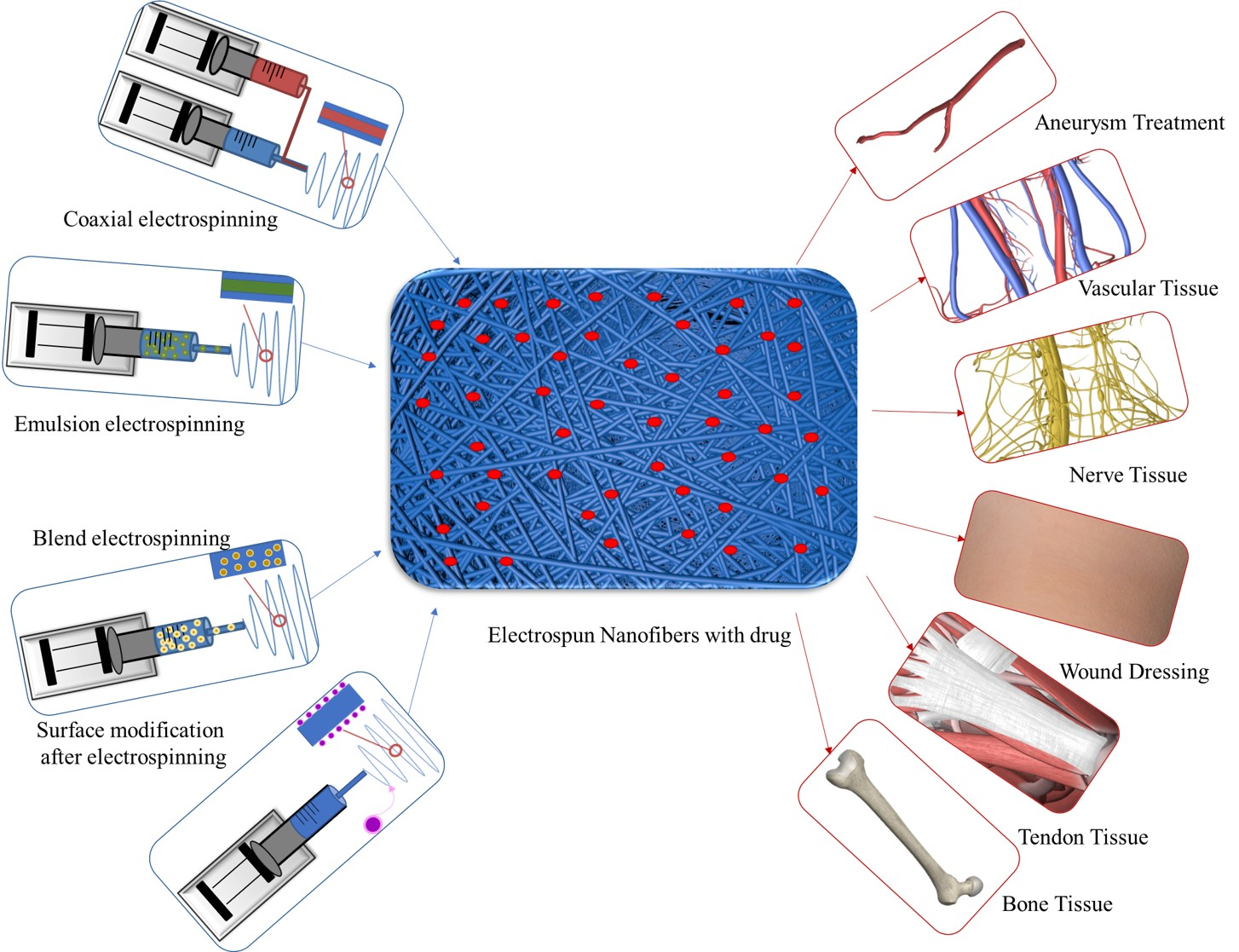 hepatocyte tissue engineering scaffold electrospinning