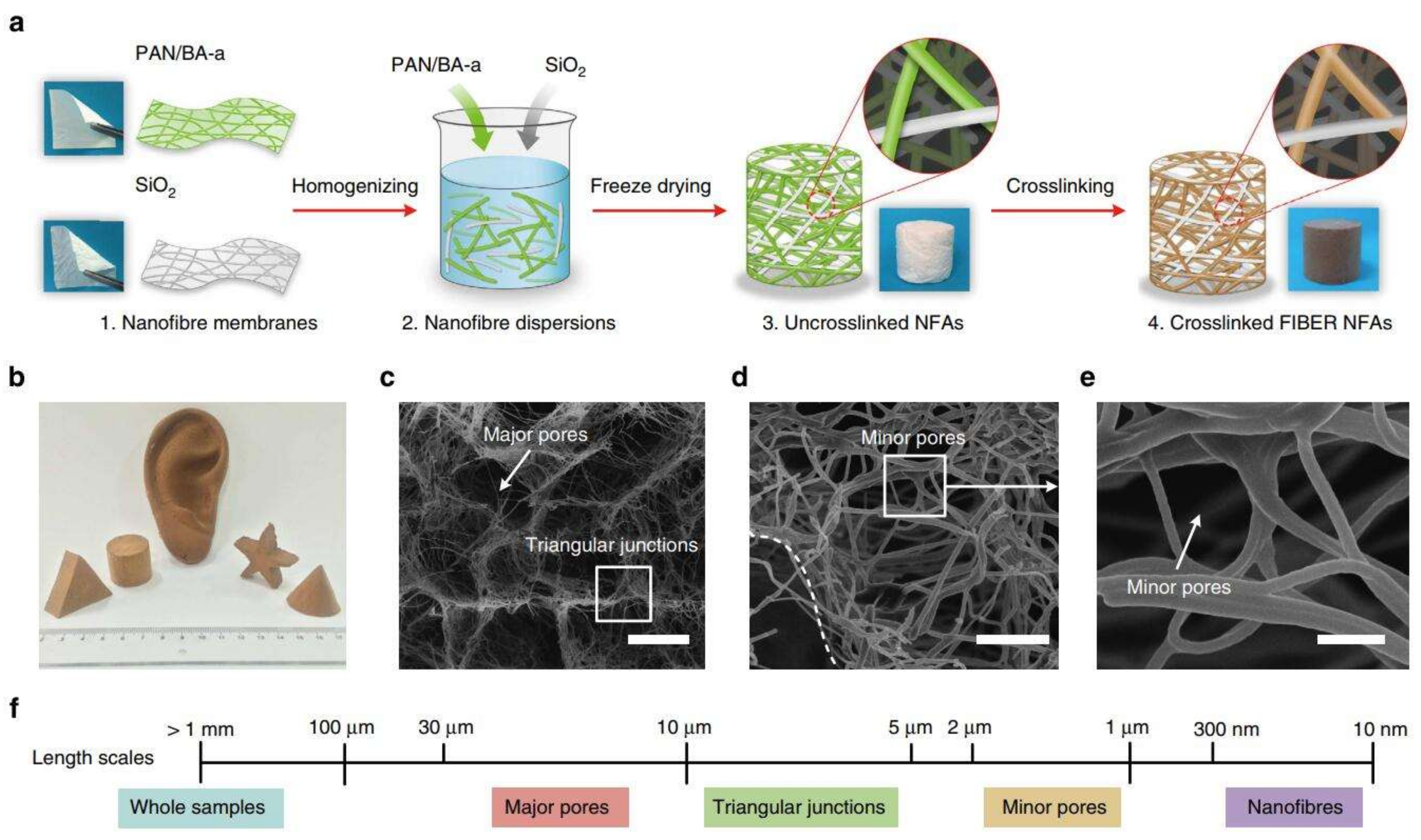 Целлюлоза бактерии. Бактериальная Целлюлоза. Cellulose Nanofiber материал. Пленки бактериальной целлюлозы. Аэрогель из целлюлозы.