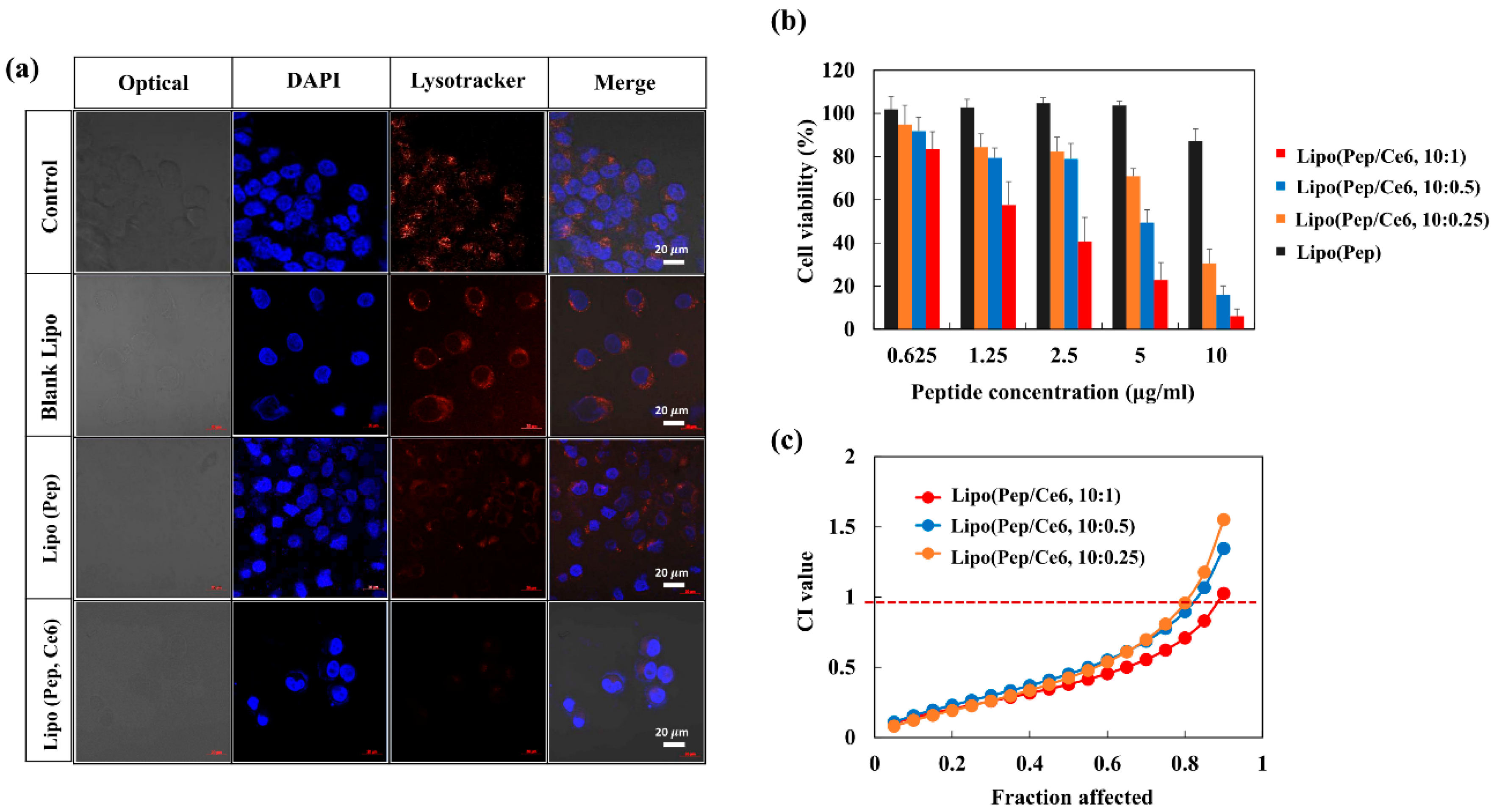 Pharmaceutics 11 00293 g006
