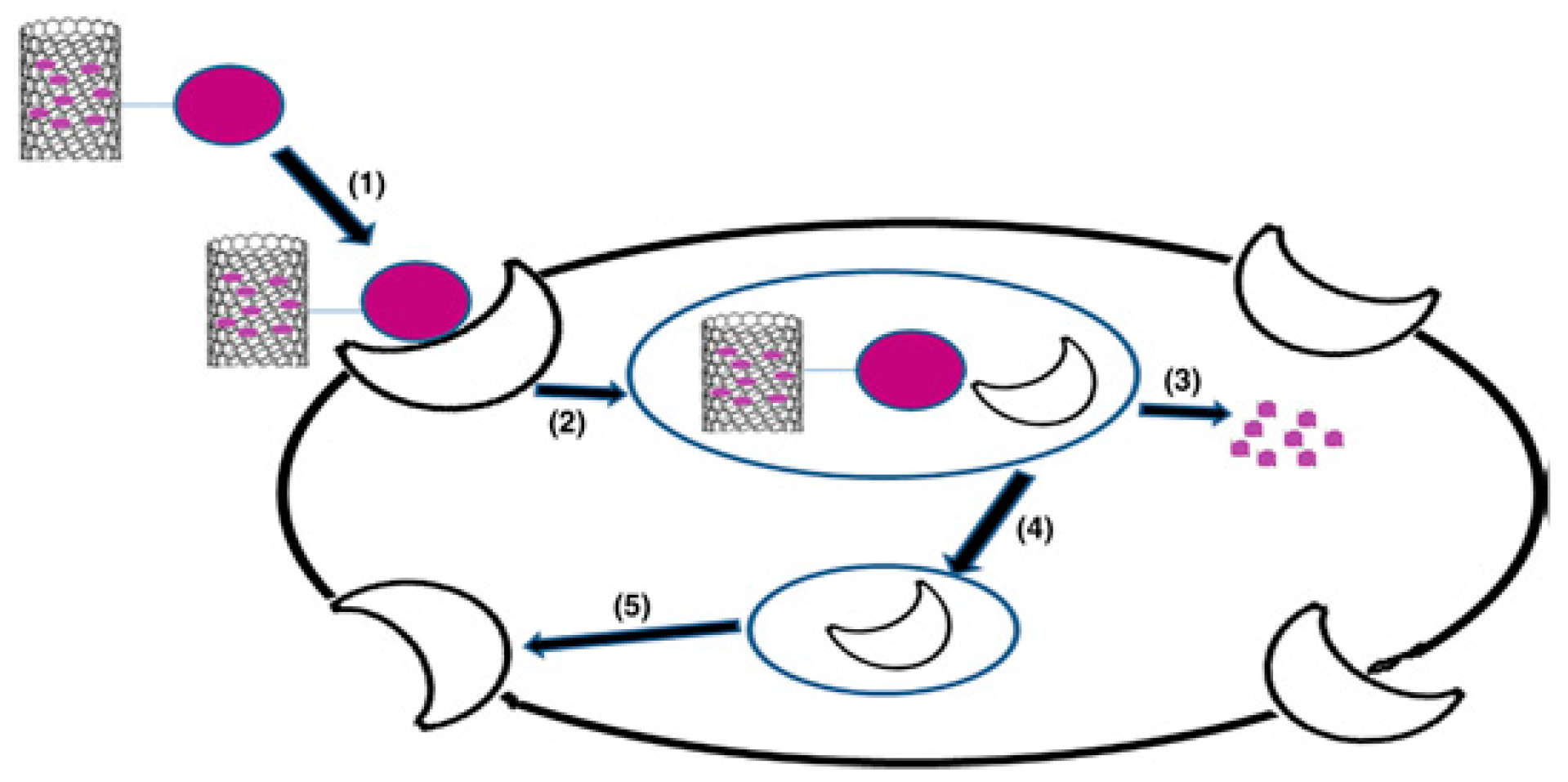 Pharmaceutics 11 00294 g003