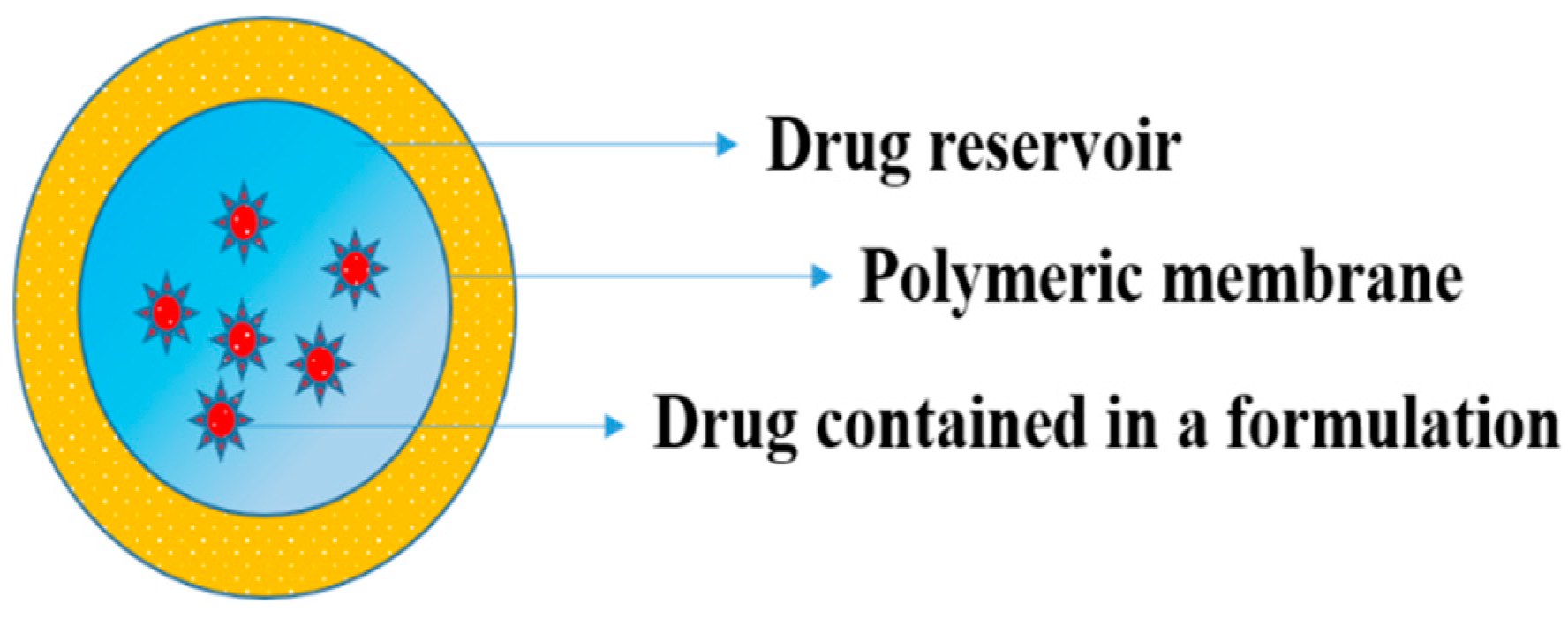 Pharmaceutics 11 00294 g011
