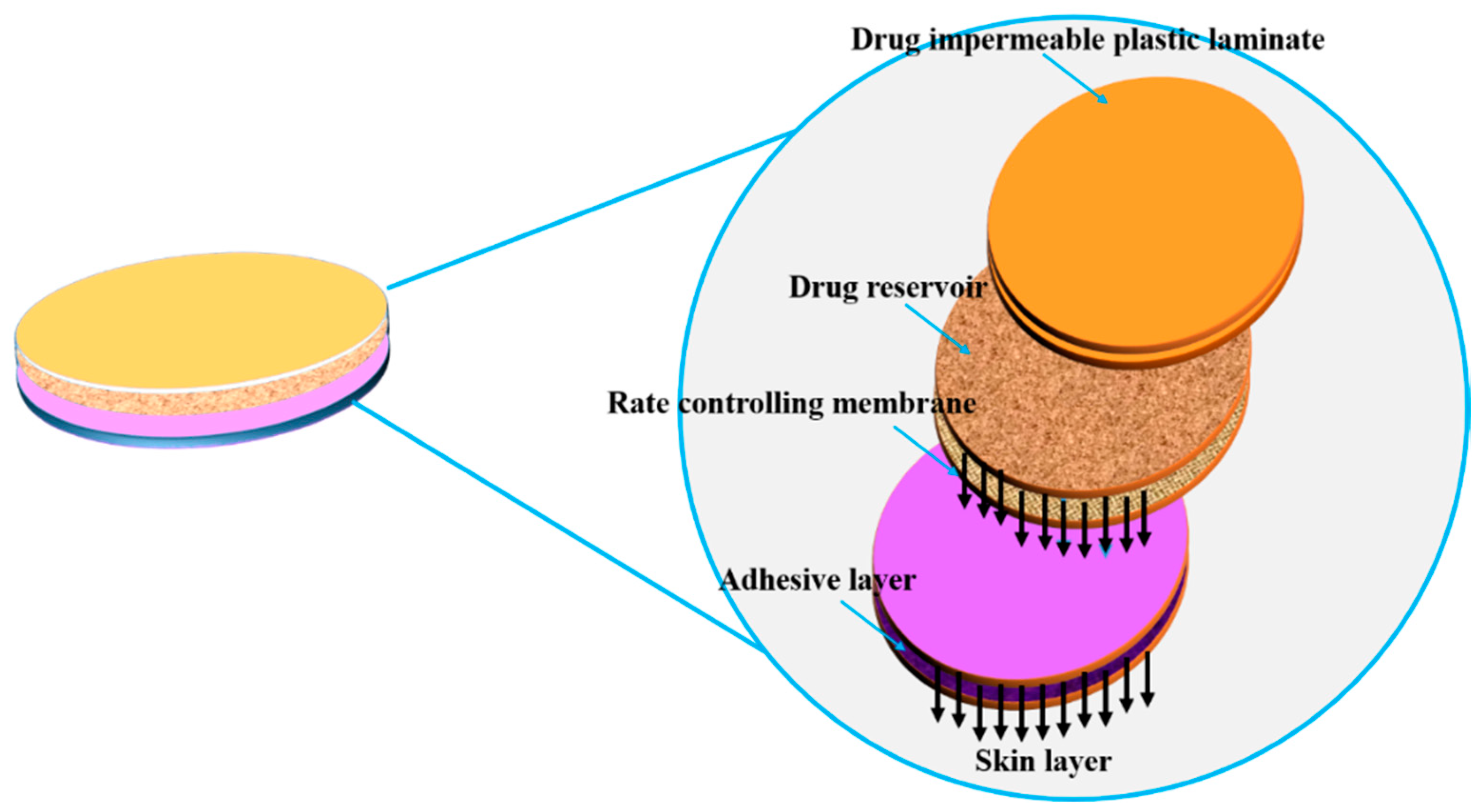 Pharmaceutics 11 00294 g013