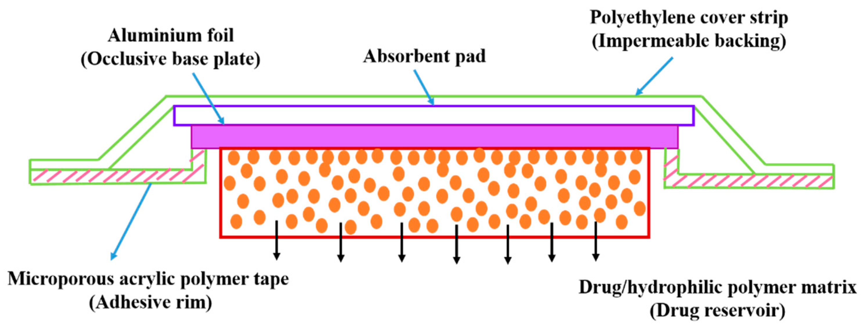 Pharmaceutics 11 00294 g017