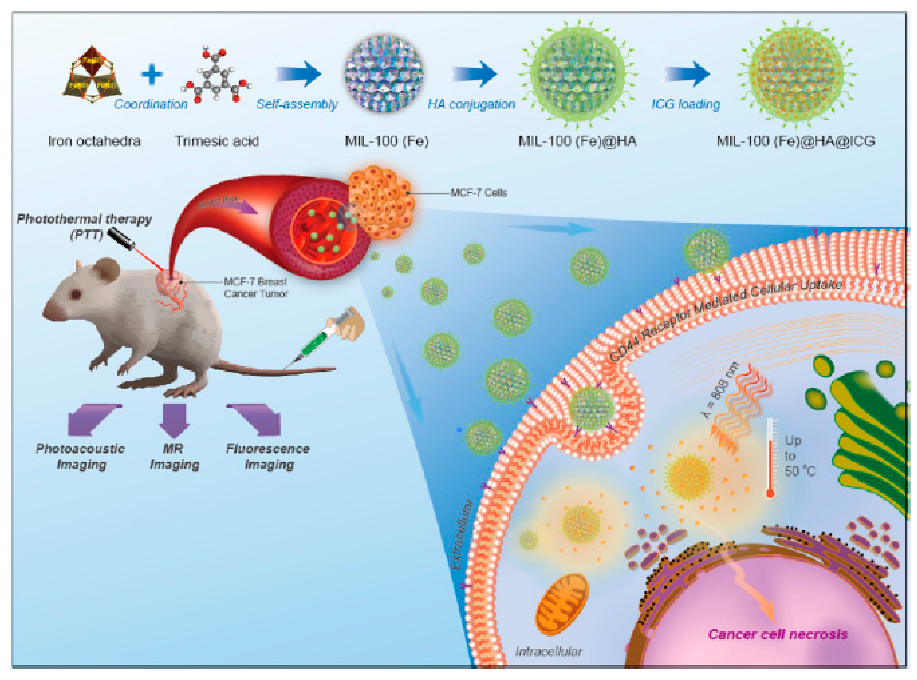 Pharmaceutics 11 00301 g014
