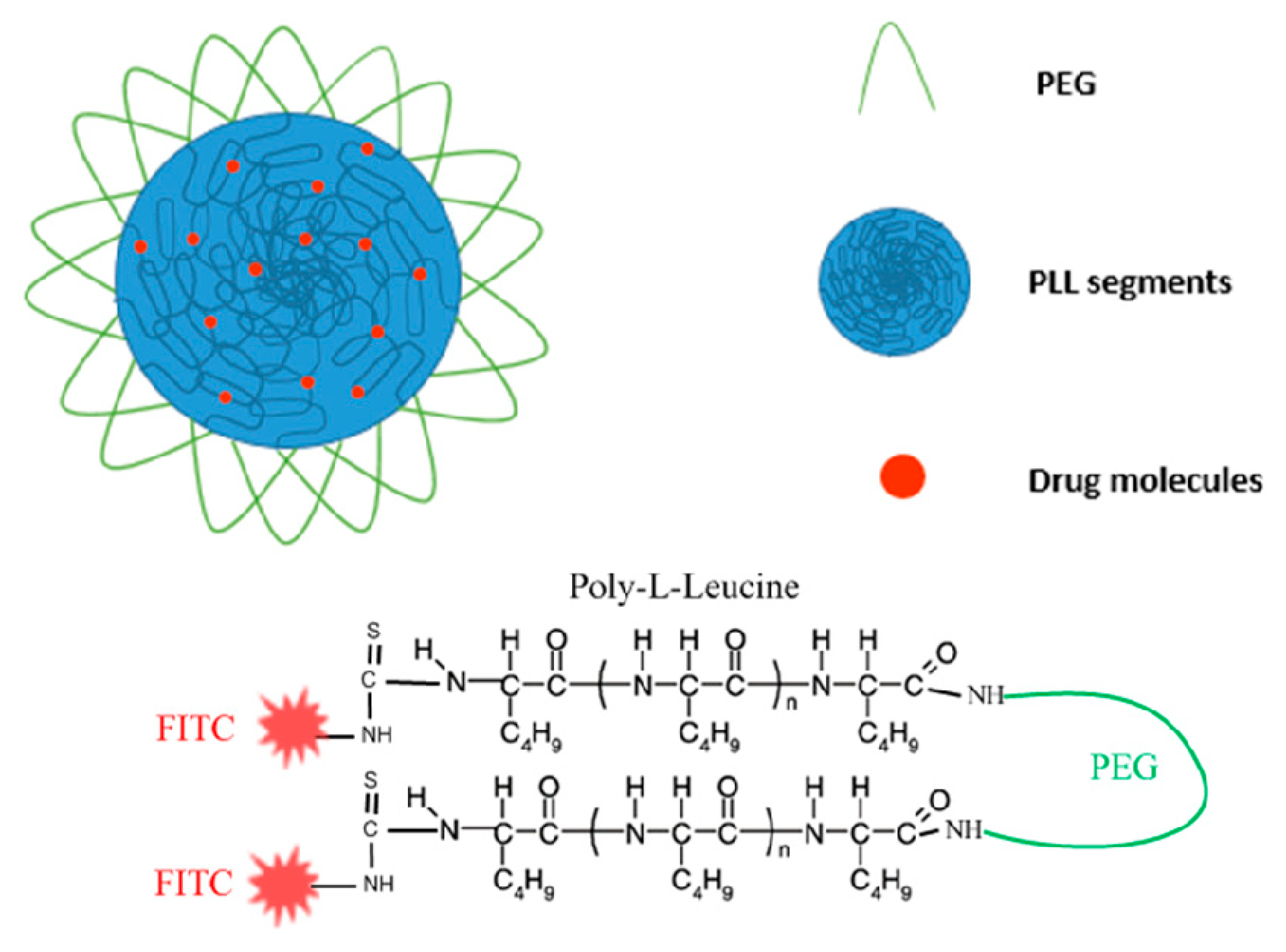 Pharmaceutics Free Full Text Chemistry Routes For Copolymer Synthesis Containing Peg For Targeting Imaging And Drug Delivery Purposes Html