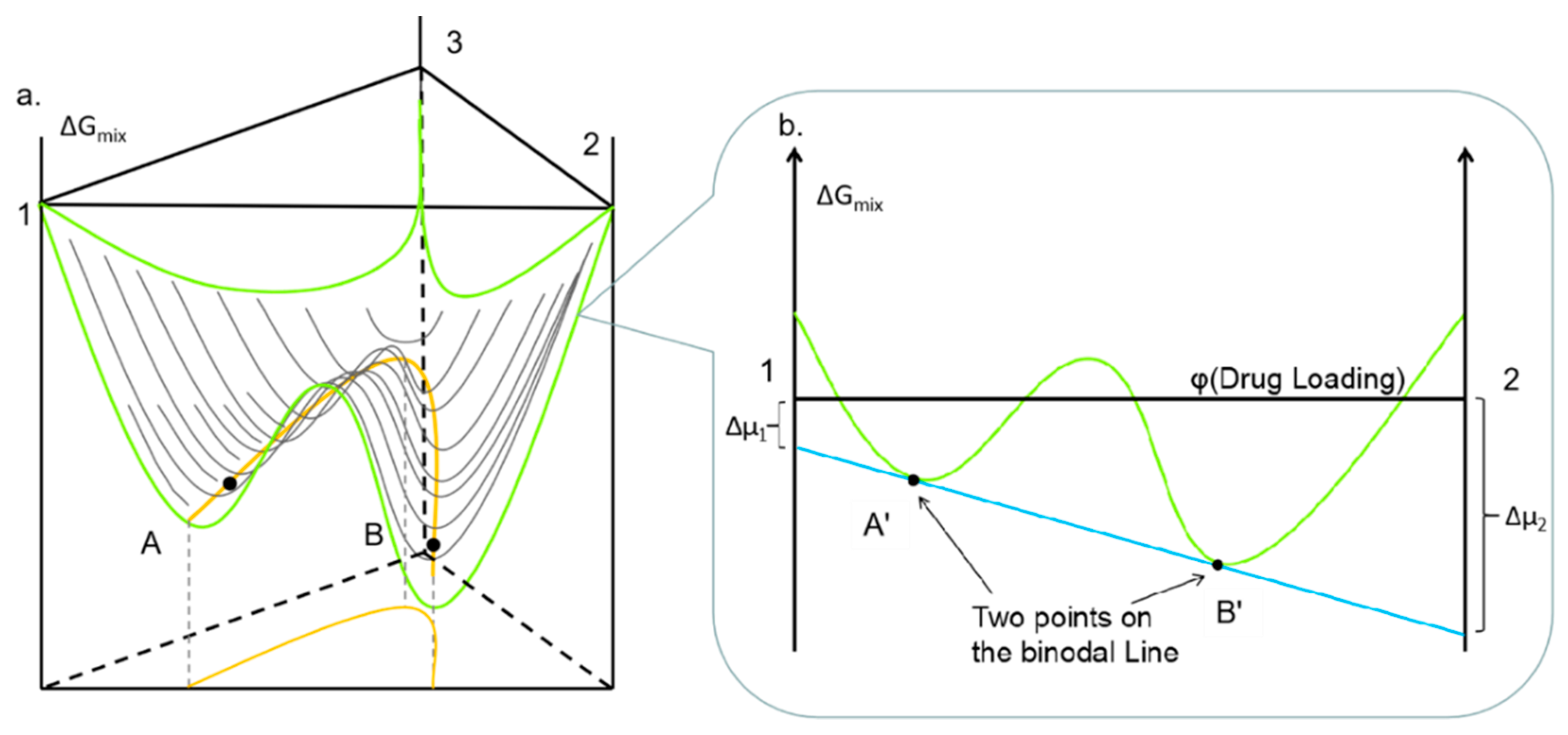 Pharmaceutics 11 00420 g002