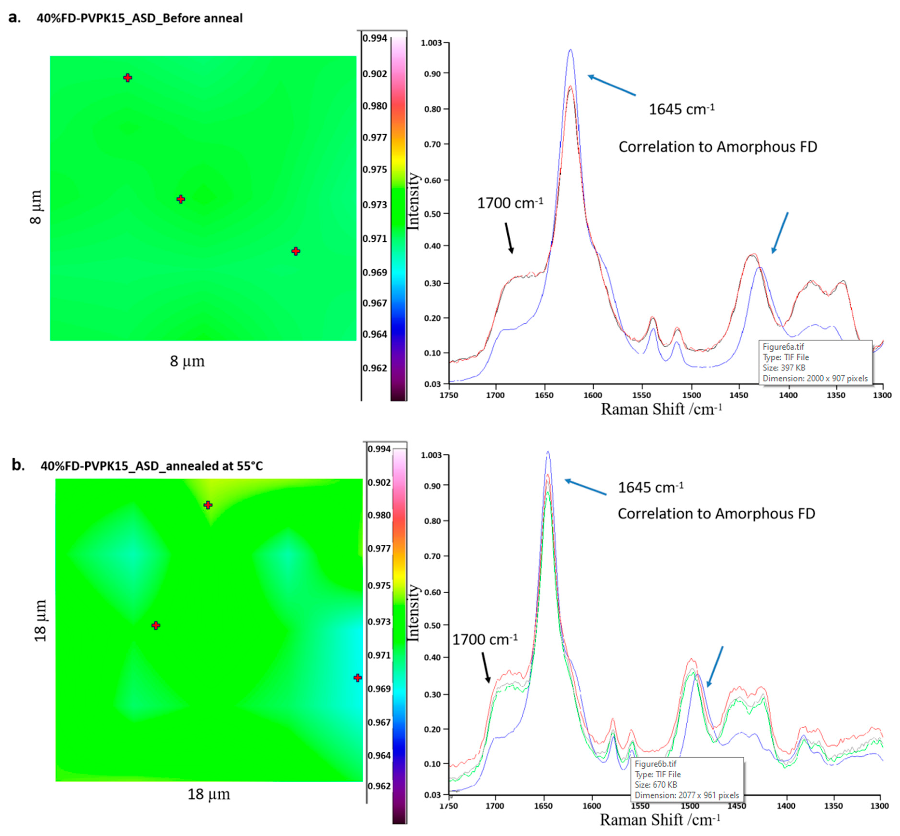 Pharmaceutics 11 00420 g006a