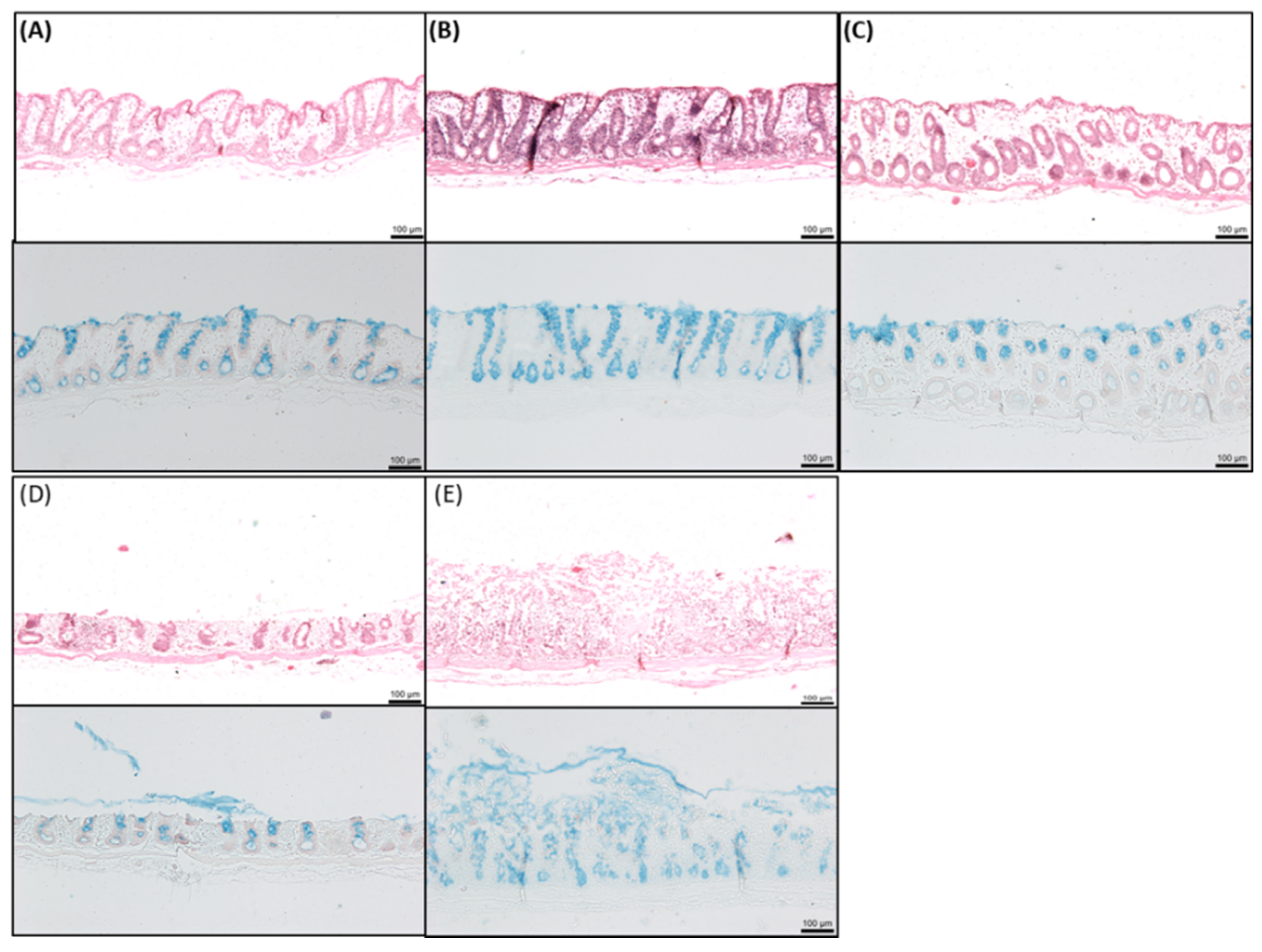 Pharmaceutics 11 00565 g006