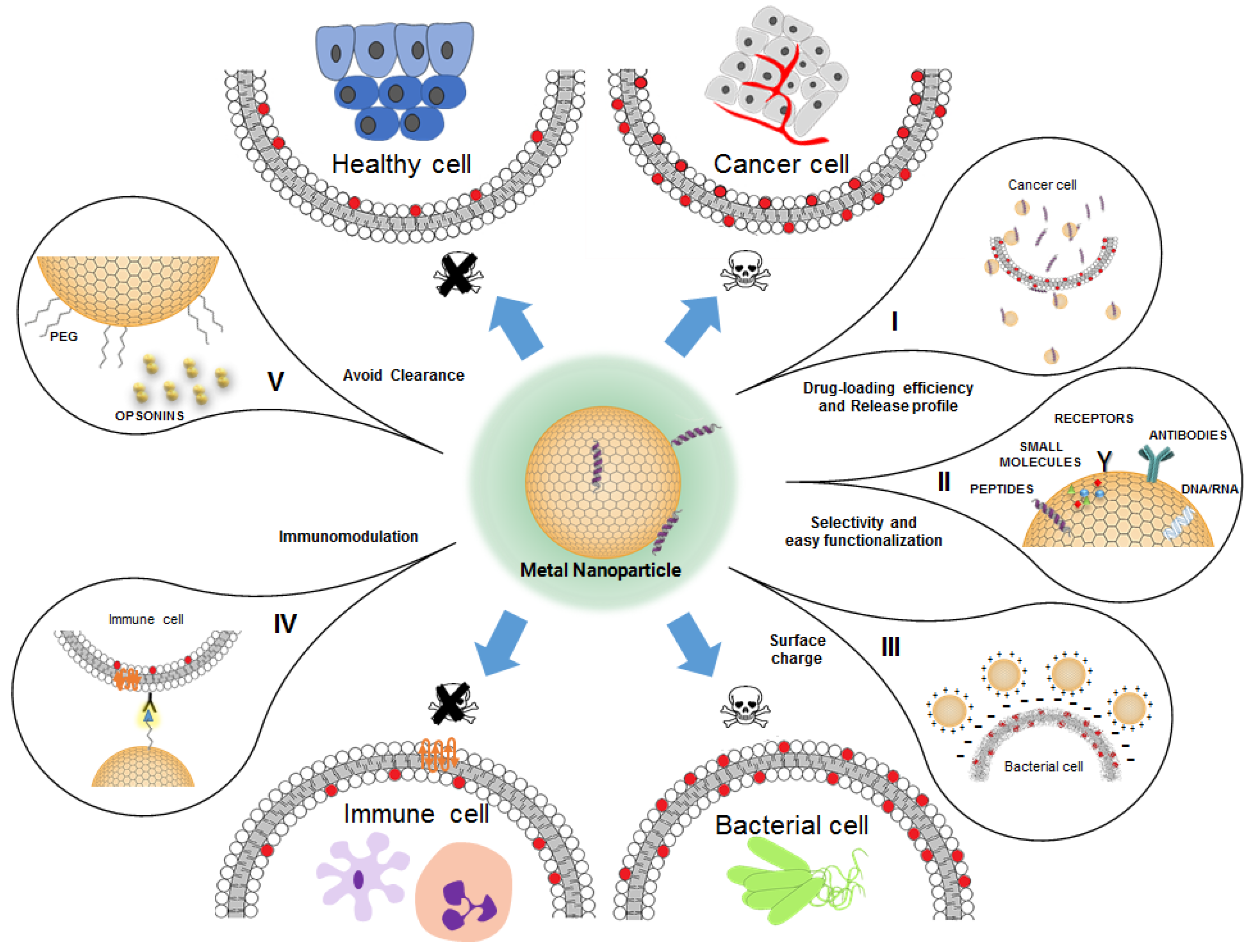 Pharmaceutics 11 00588 g004