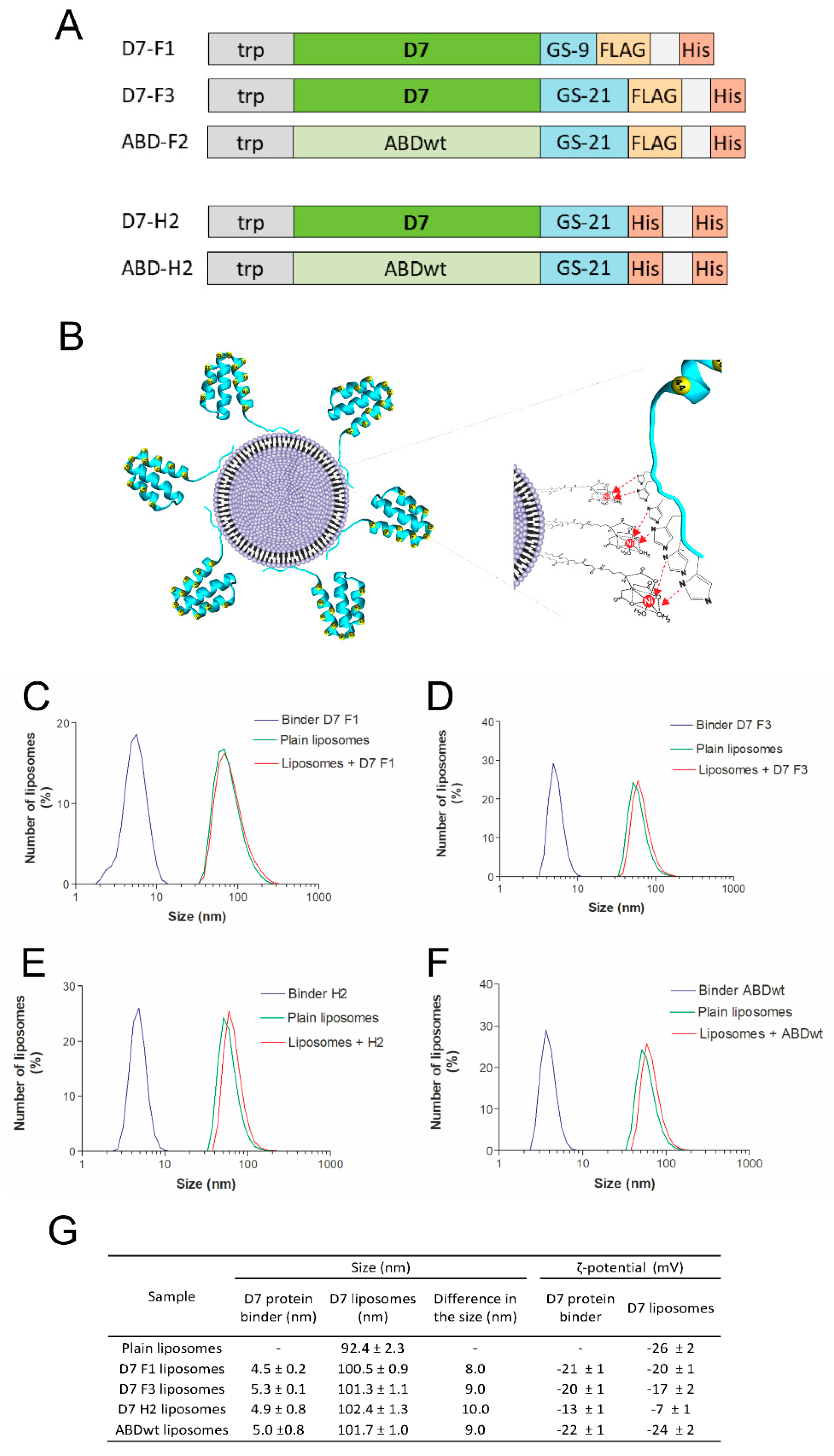 Pharmaceutics 11 00642 g004 Pharmaceutics 11 00642 g004