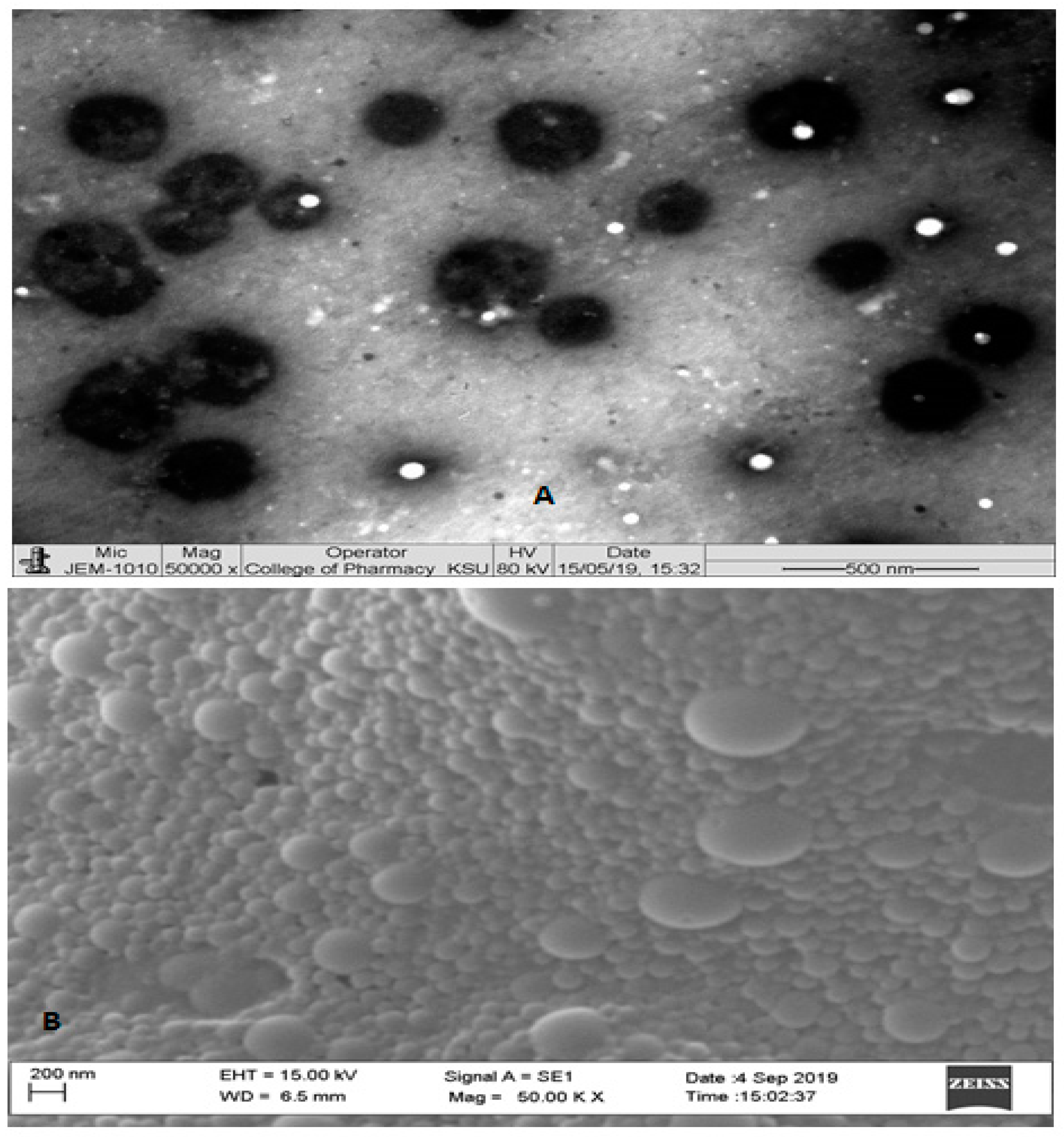 Pharmaceutics 11 00685 g003 Pharmaceutics 11 00685 g003