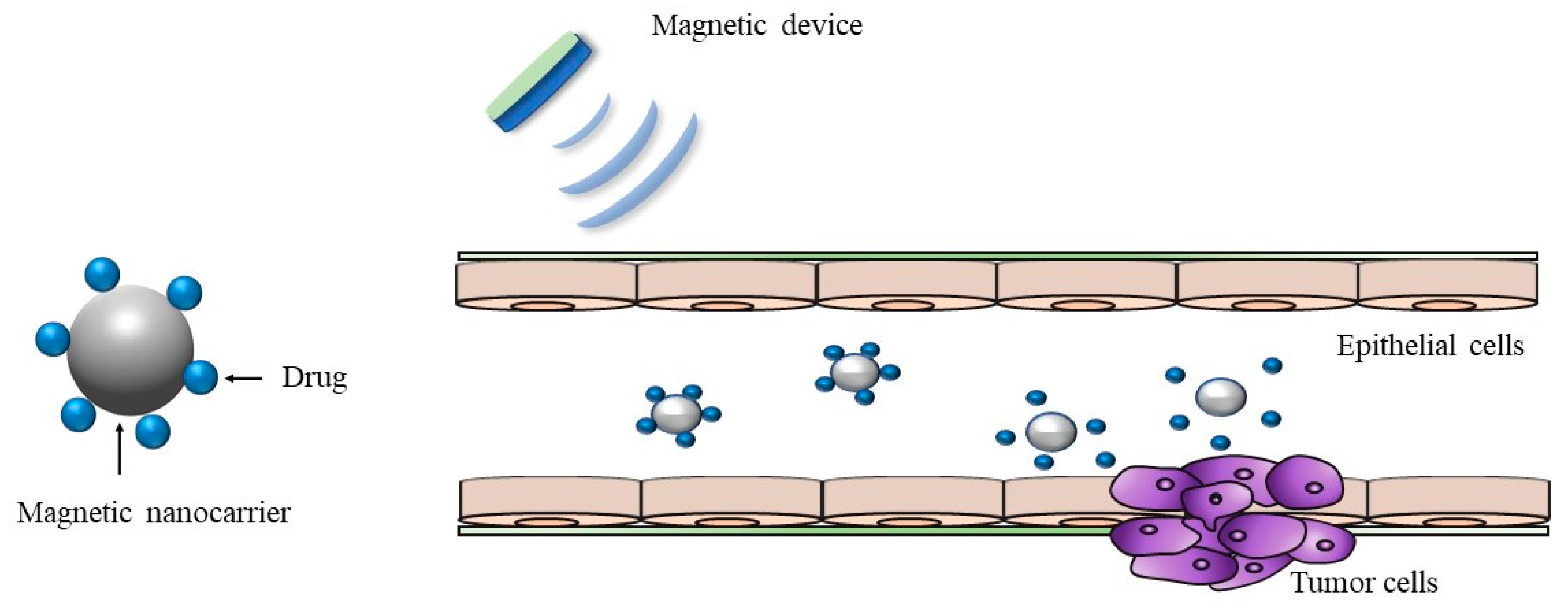 Pharmaceutics 12 00068 g004 Pharmaceutics 12 00068 g004