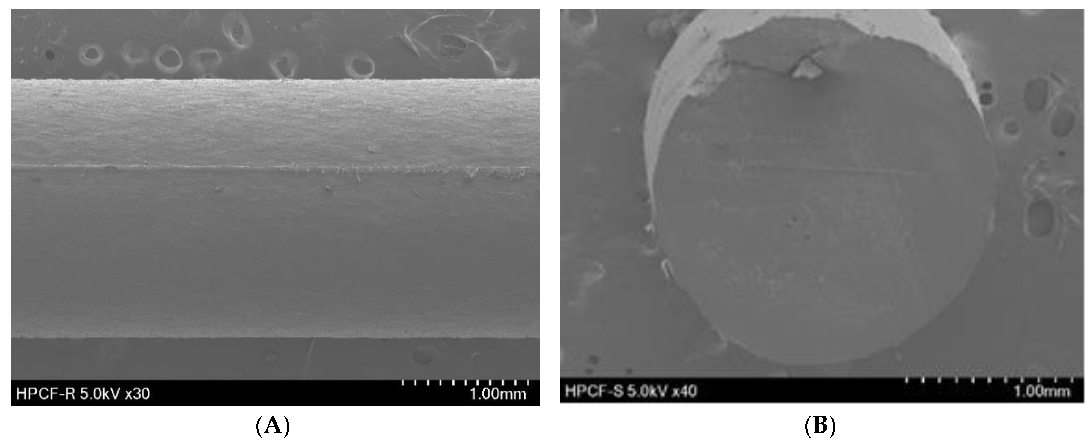 Pharmaceutics 12 00077 g001 Pharmaceutics 12 00077 g001