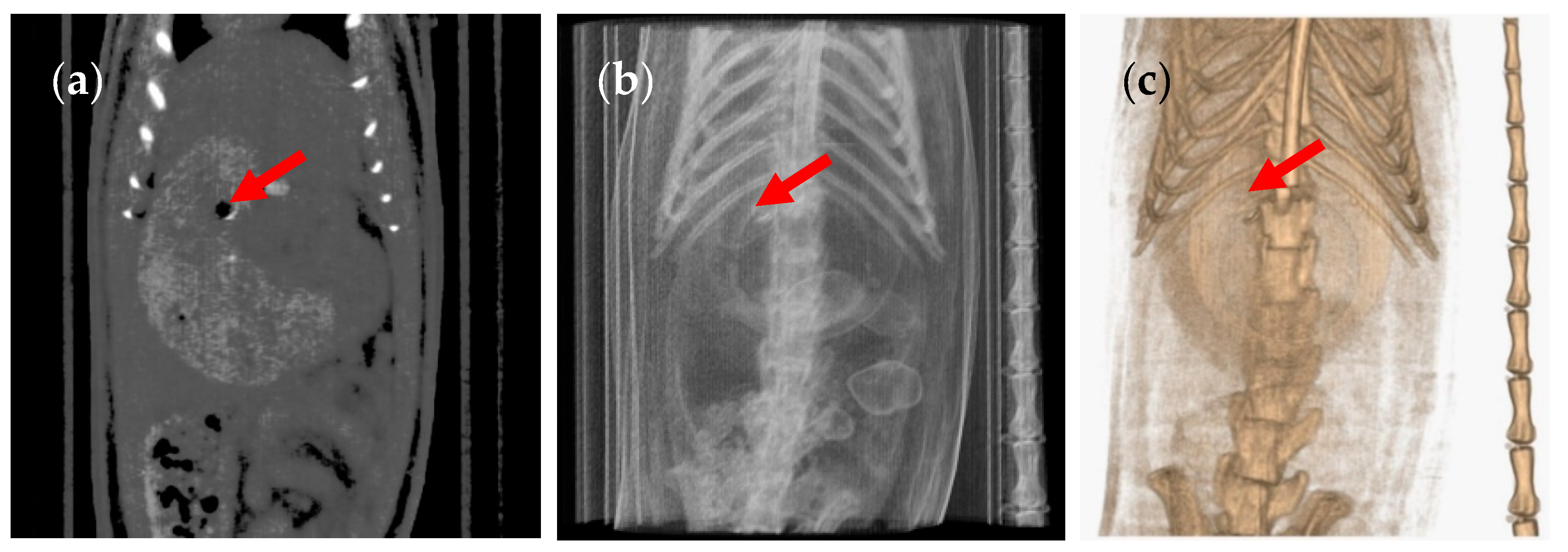 Pharmaceutics 12 00081 g006