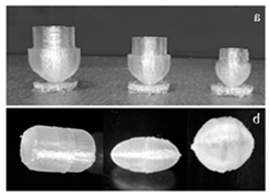 Pharmaceutics 12 00124 i001 Pharmaceutics 12 00124 i001