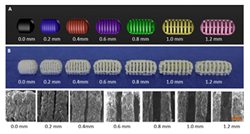 Pharmaceutics 12 00124 i004 Pharmaceutics 12 00124 i004