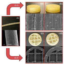 Pharmaceutics 12 00124 i007 Pharmaceutics 12 00124 i007