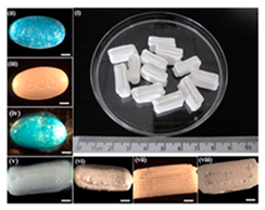Pharmaceutics 12 00124 i013 Pharmaceutics 12 00124 i013