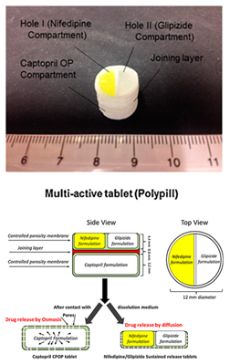 Pharmaceutics 12 00124 i015 Pharmaceutics 12 00124 i015