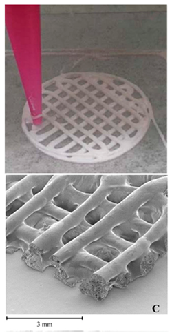 Pharmaceutics 12 00124 i016 Pharmaceutics 12 00124 i016