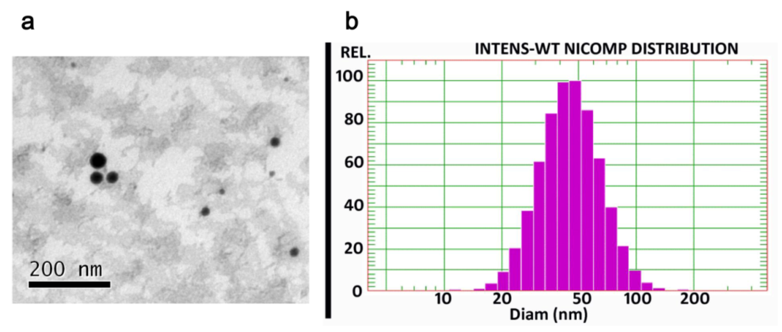 Pharmaceutics 12 00163 g002