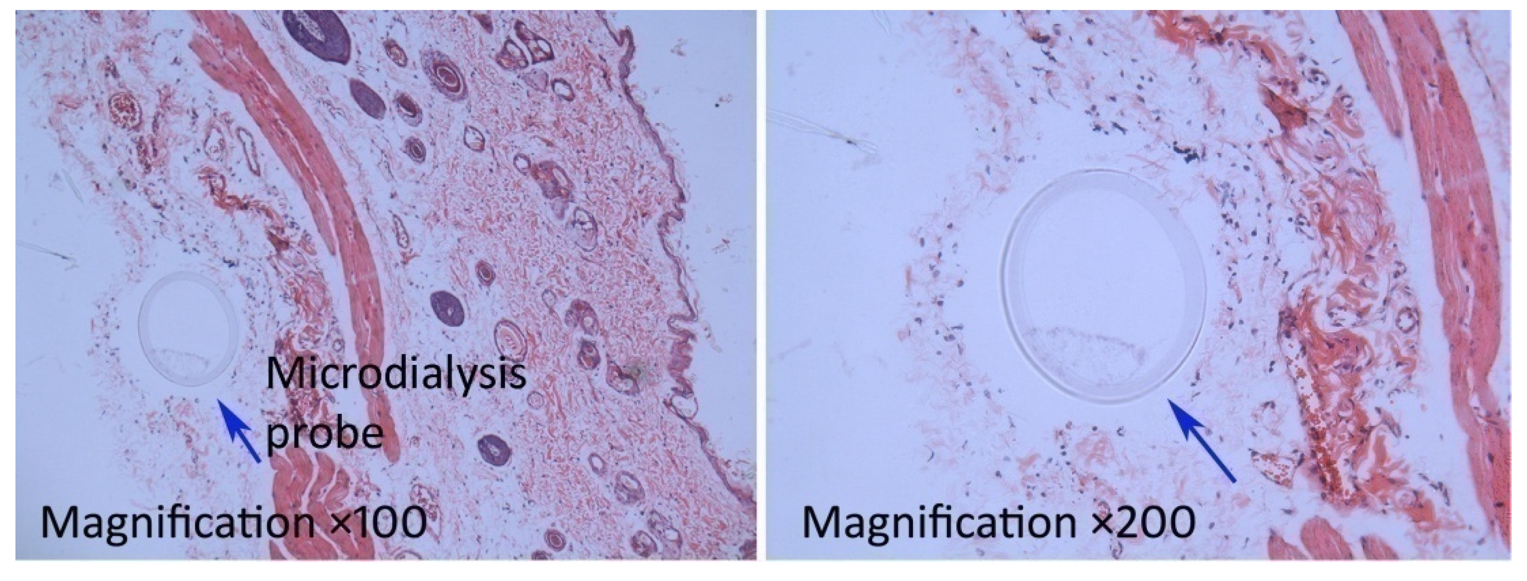 Pharmaceutics 12 00163 g005
