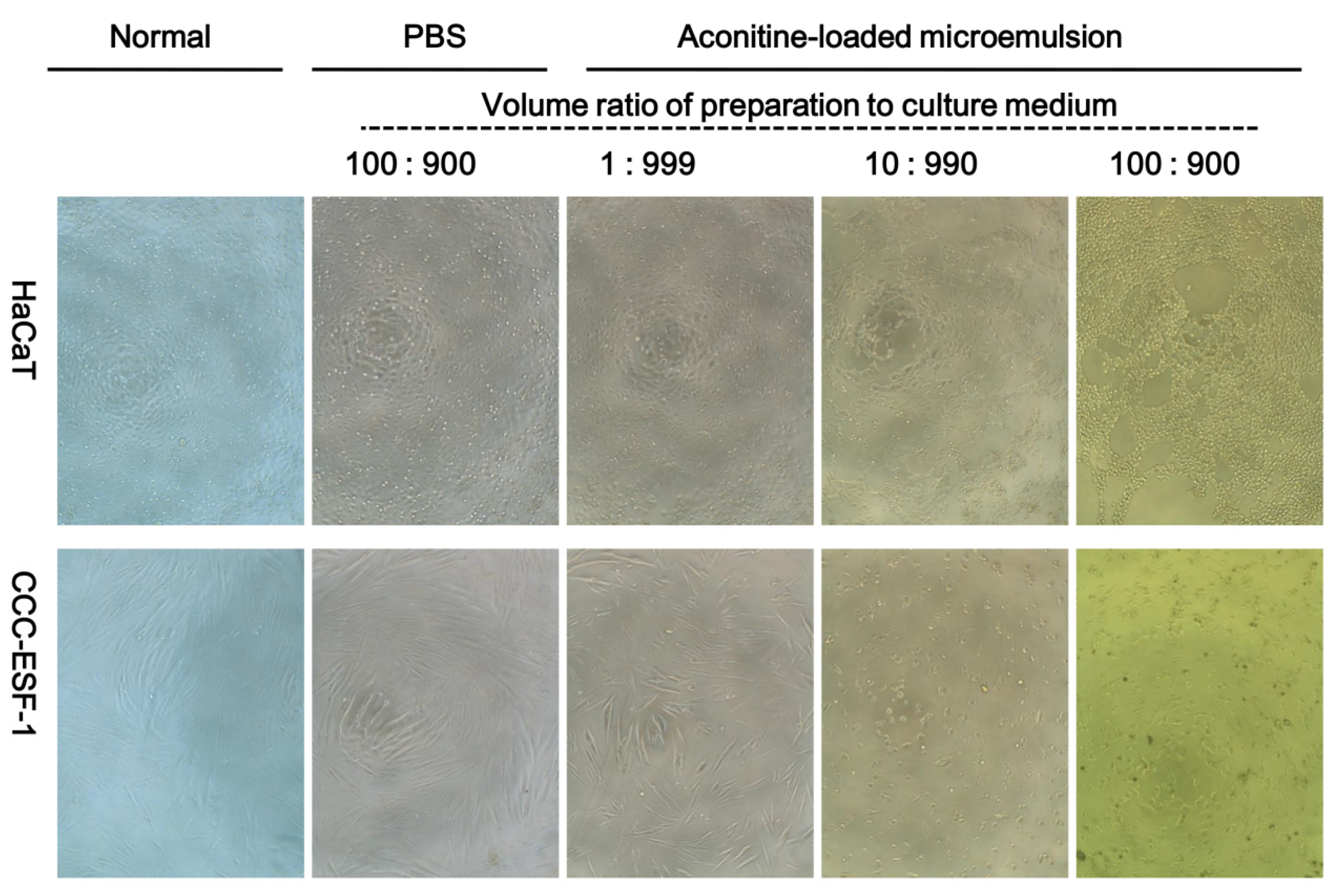 Pharmaceutics 12 00163 g007