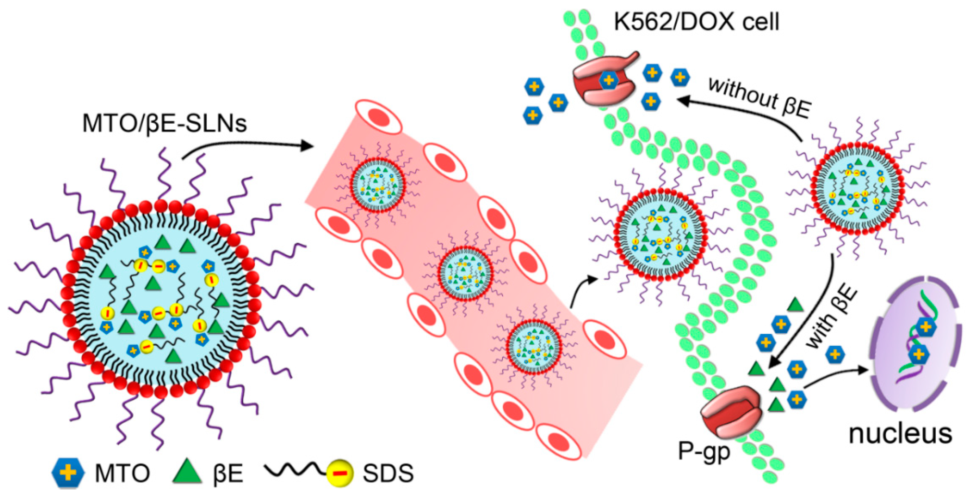 Pharmaceutics 12 00191 sch001