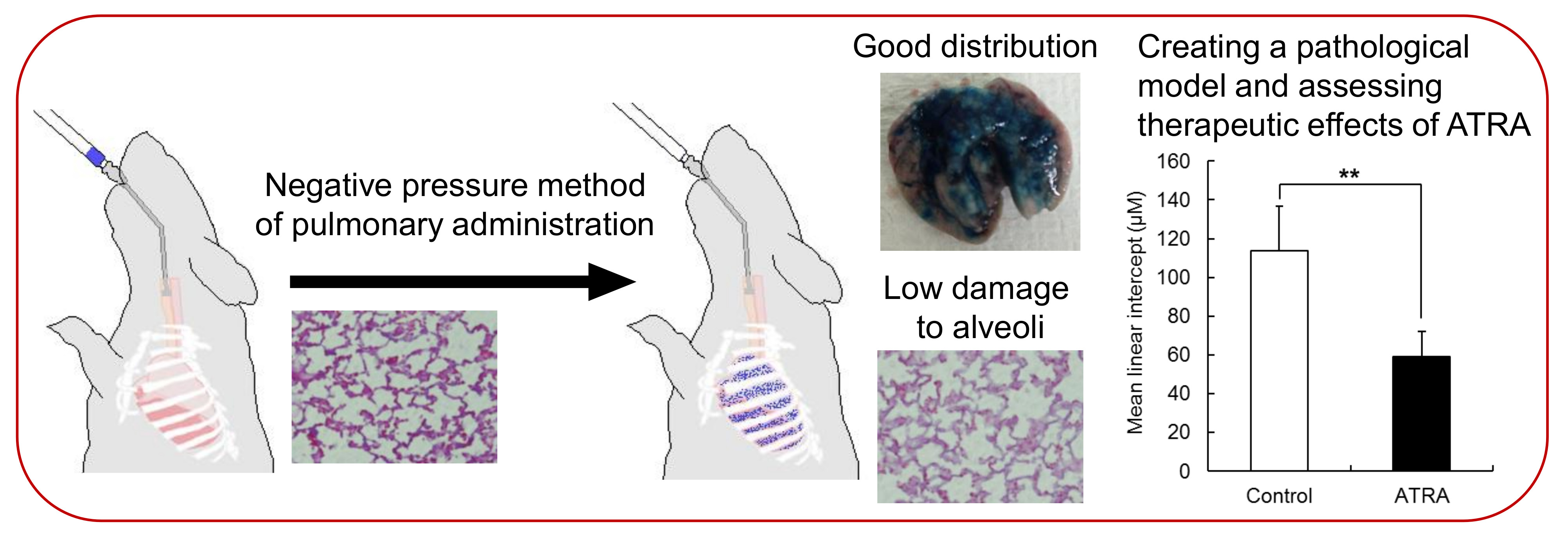 Pharmaceutics | Free Full-Text | Method for Pulmonary Administration