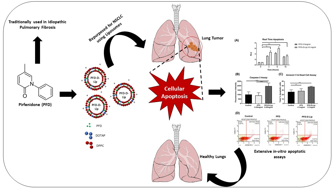 Pharmaceutics Free FullText Systematic Development