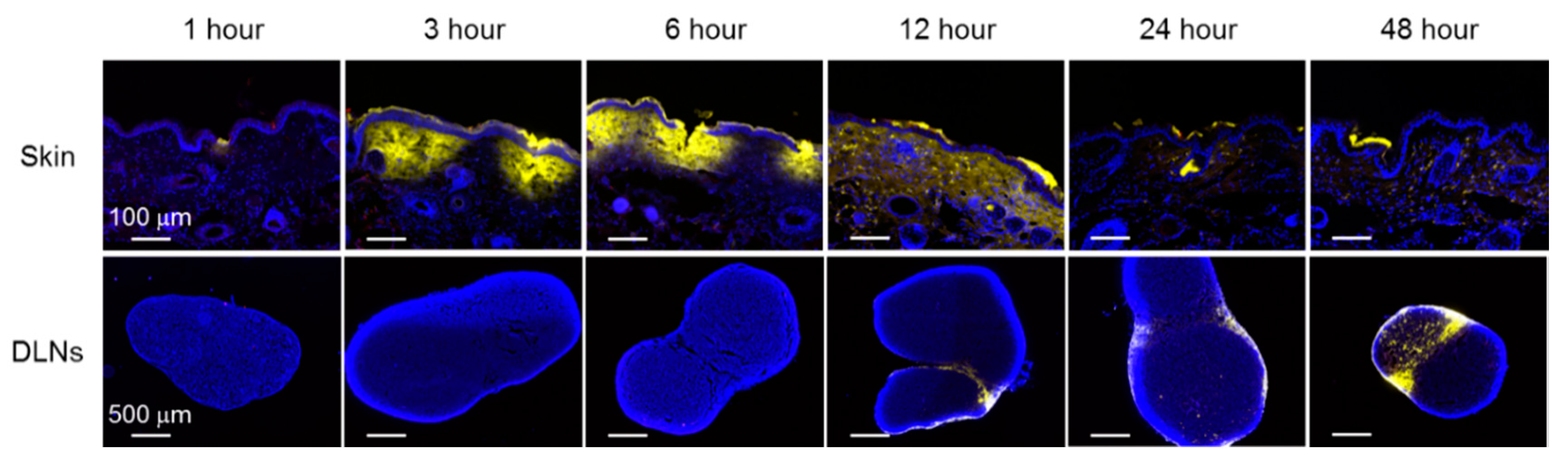 Pharmaceutics 12 00267 g003 Pharmaceutics 12 00267 g003