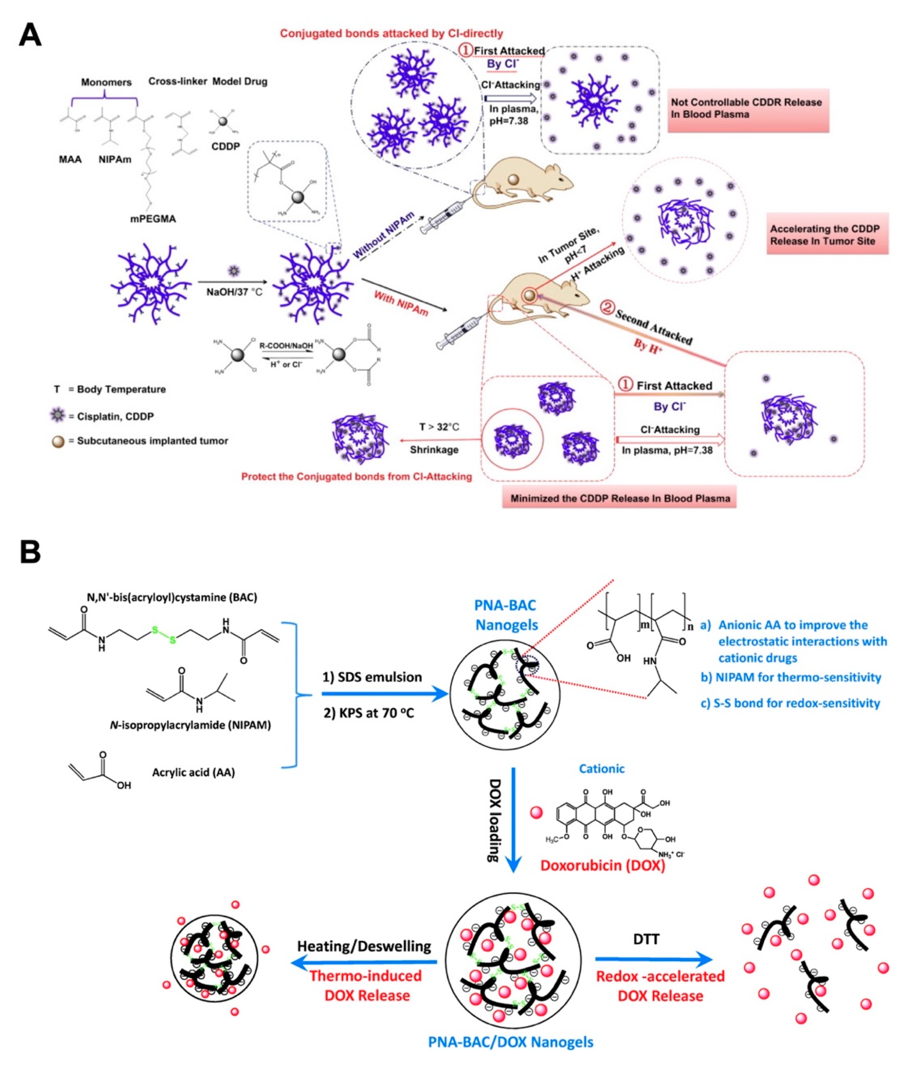 Pharmaceutics 12 00290 g004