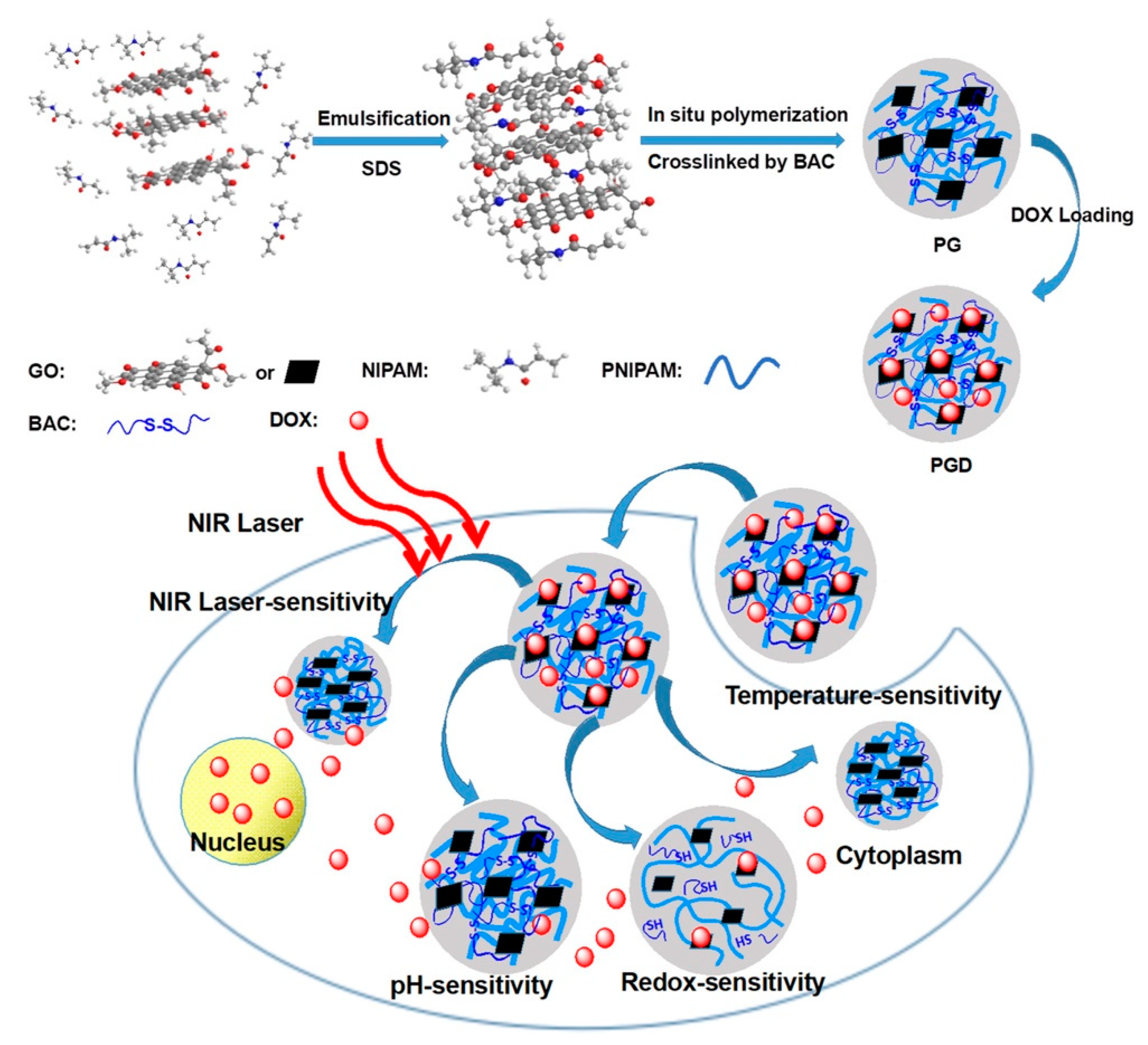 Pharmaceutics 12 00290 g010
