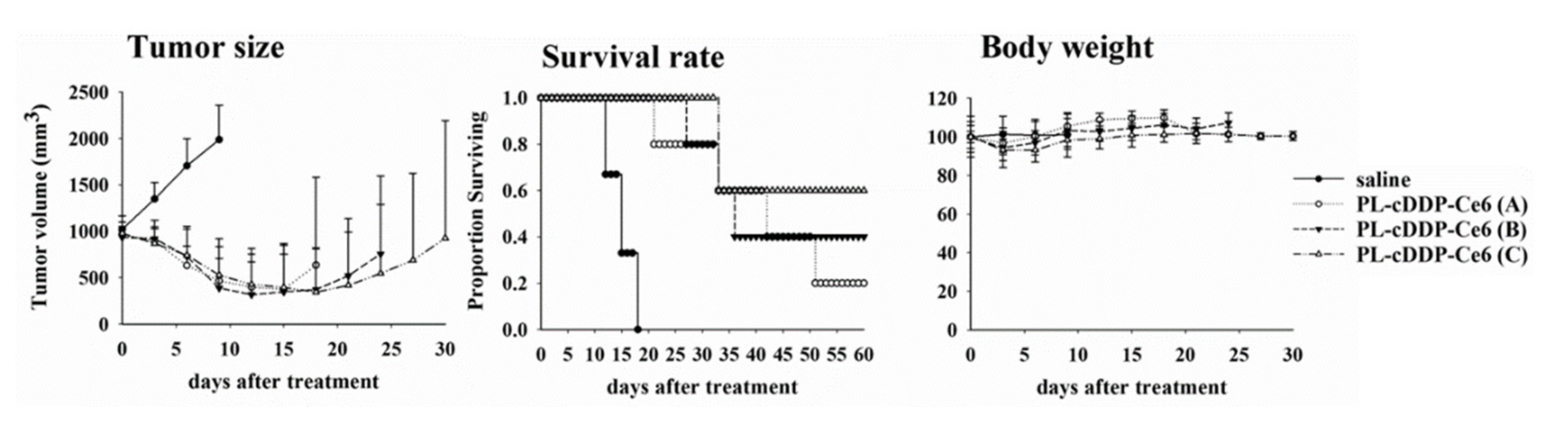 Pharmaceutics 12 00317 g005 Pharmaceutics 12 00317 g005