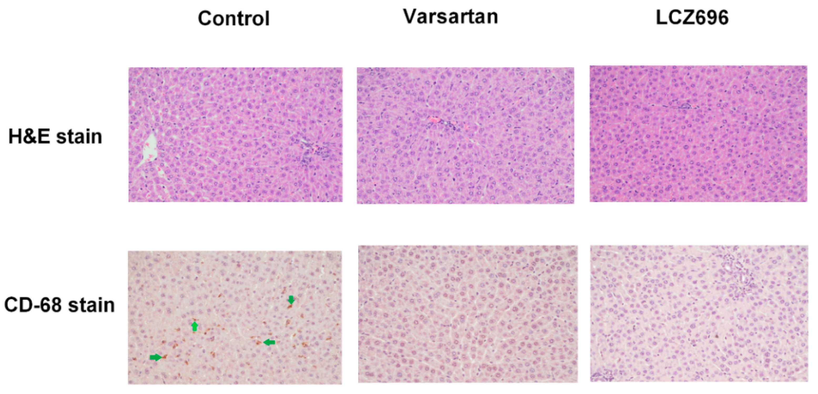 Pharmaceutics 12 00320 g002