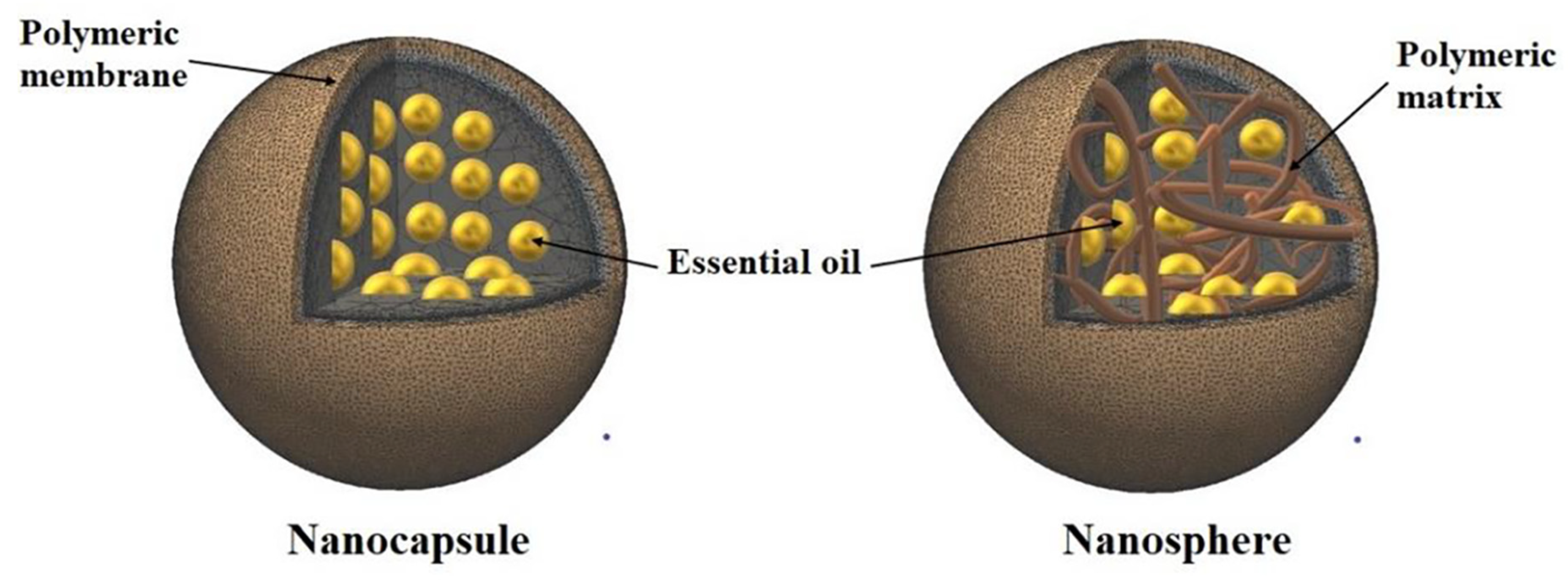 Pharmaceutics 12 00431 g002 Pharmaceutics 12 00431 g002
