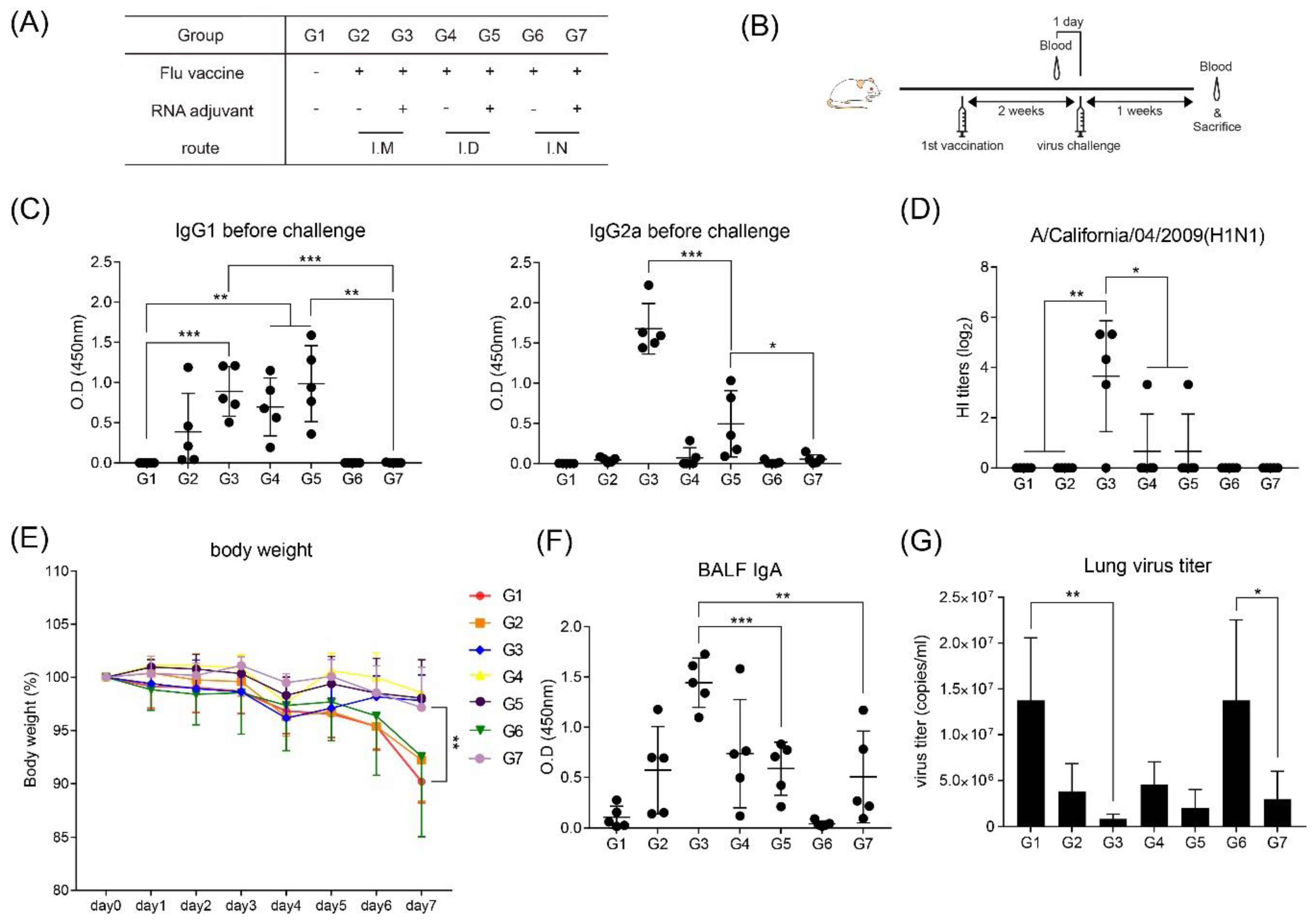 Pharmaceutics 12 00441 g005