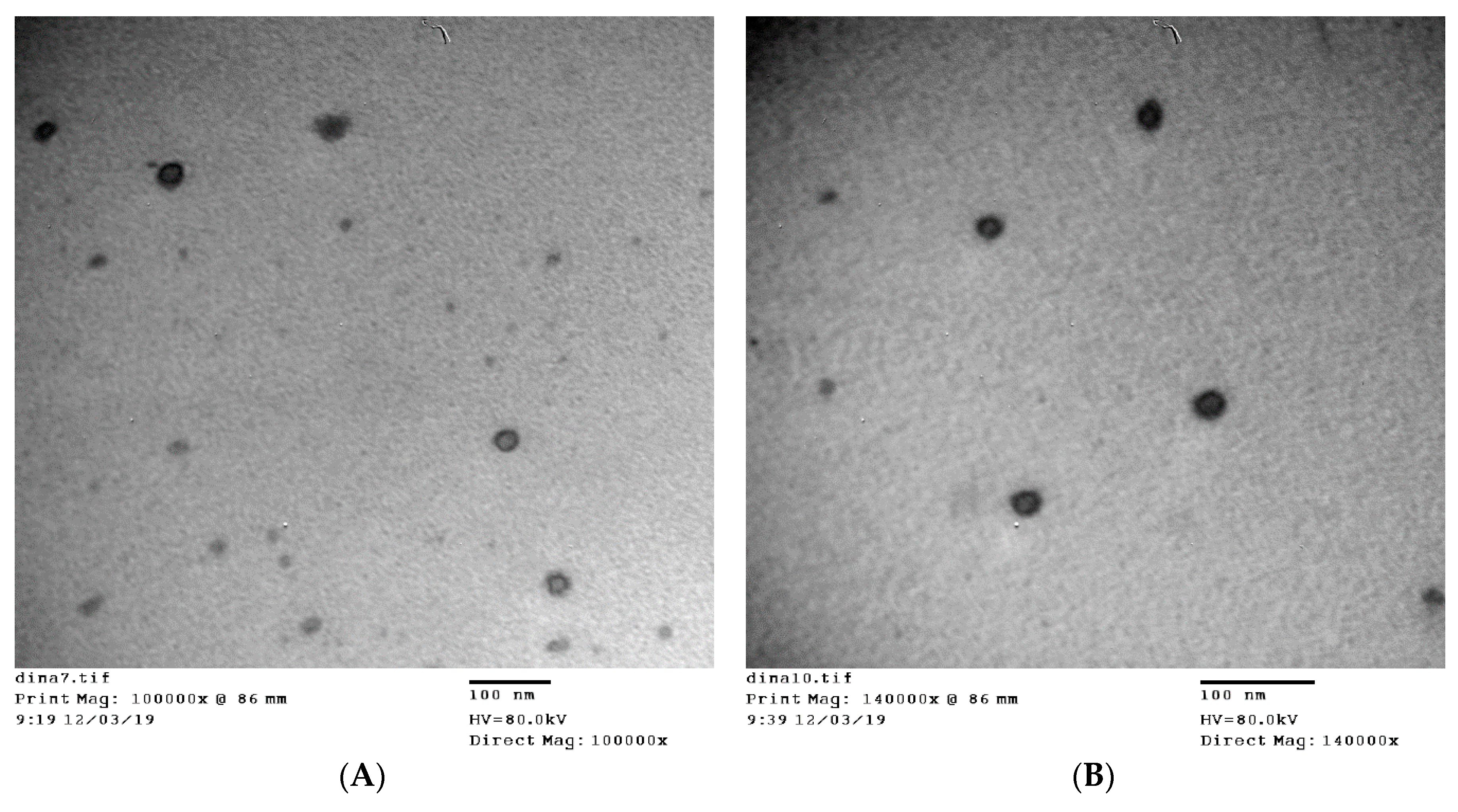 Pharmaceutics 12 00446 g001