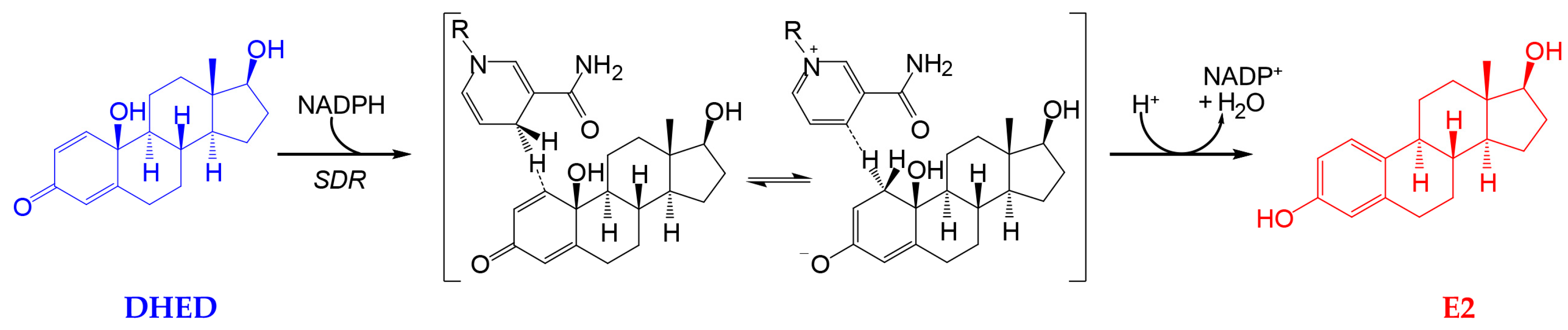 Pharmaceutics 12 00456 g001