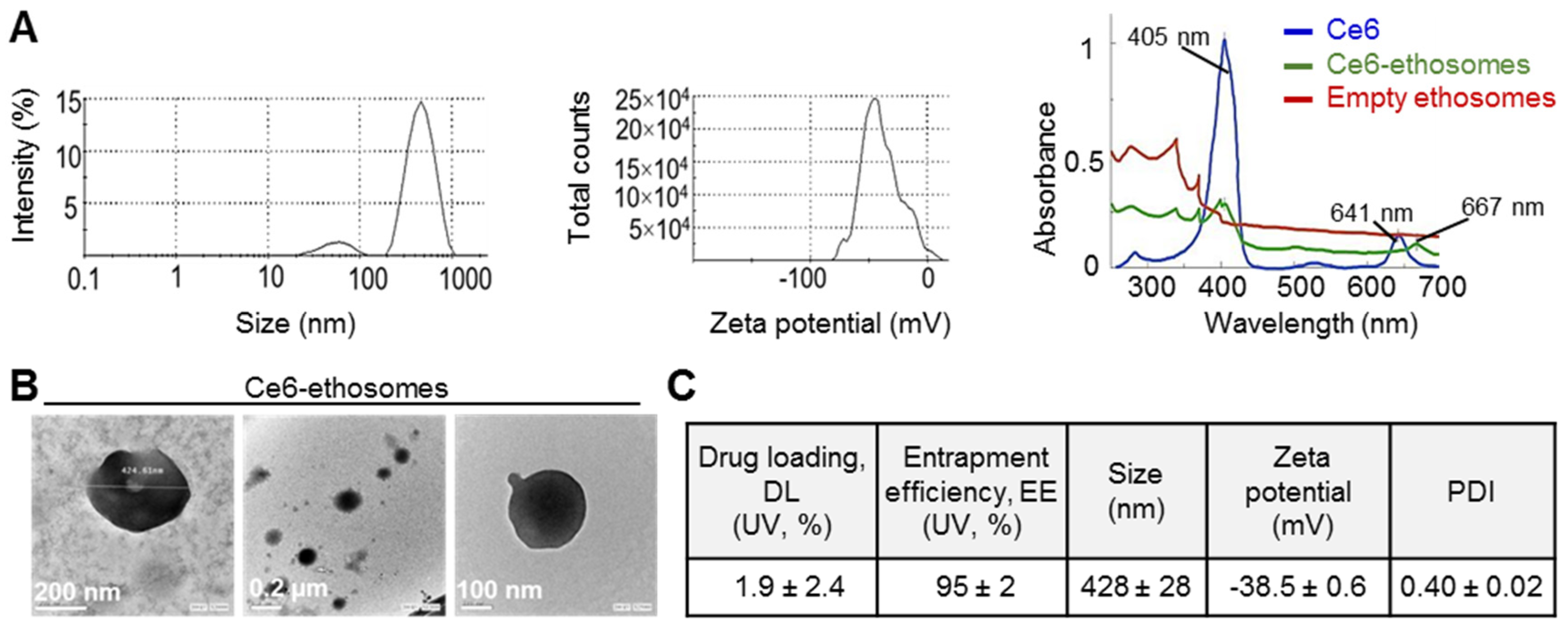 Pharmaceutics 12 00494 g001