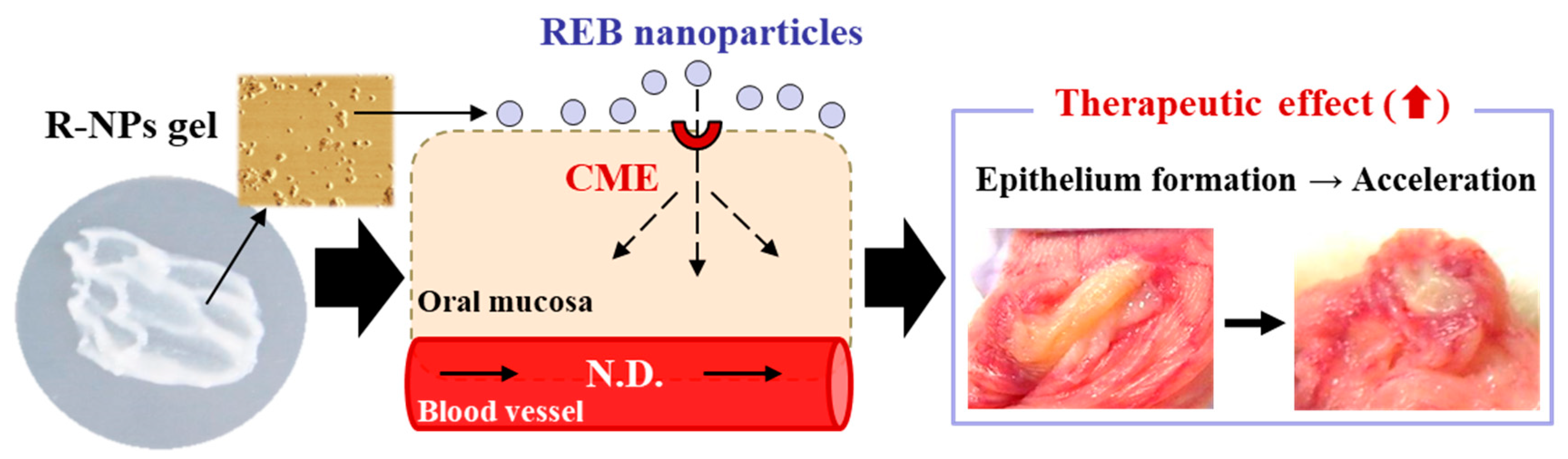 Pharmaceutics 12 00532 g007 Pharmaceutics 12 00532 g007