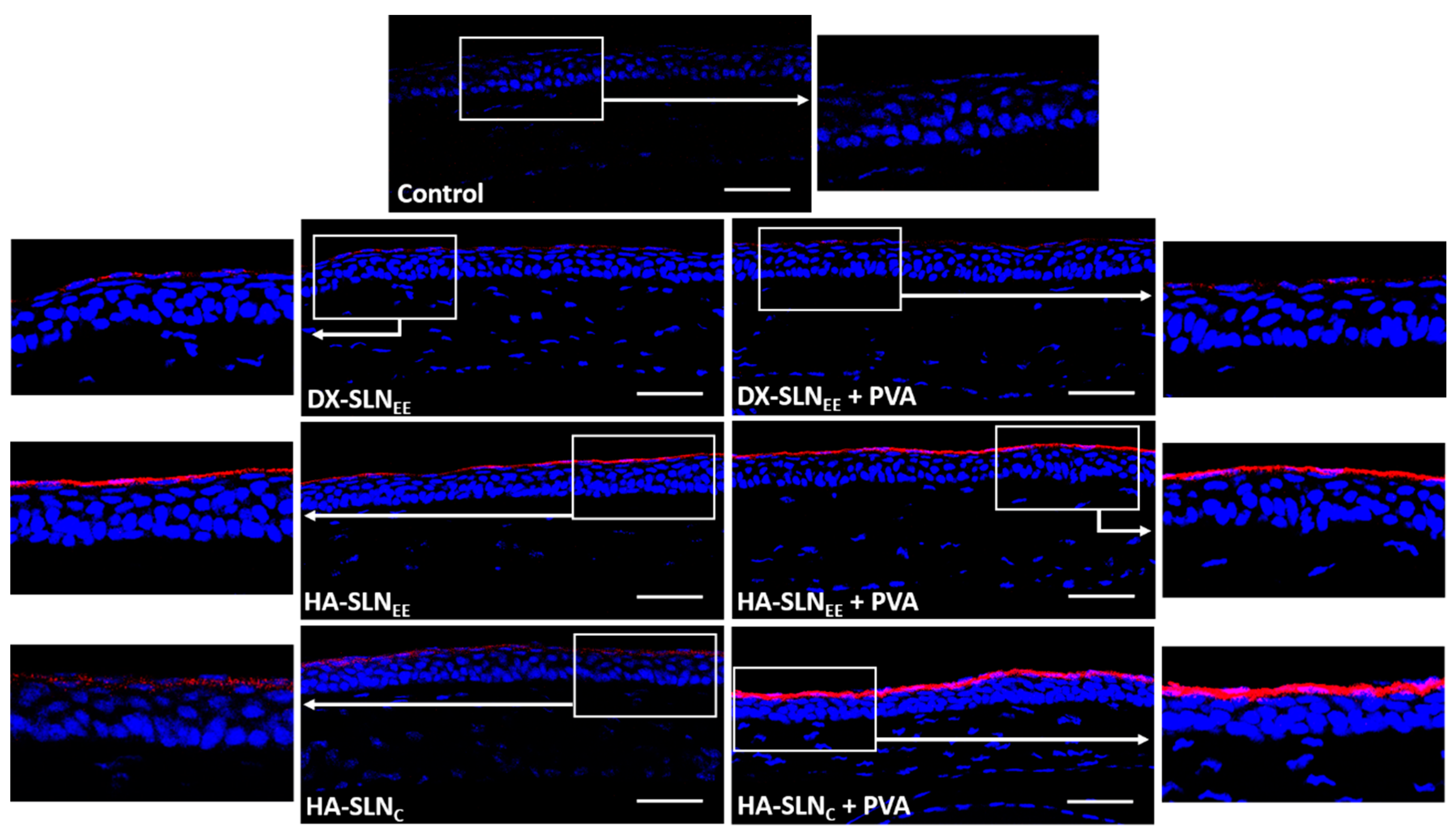 Pharmaceutics 12 00584 g005 Pharmaceutics 12 00584 g005