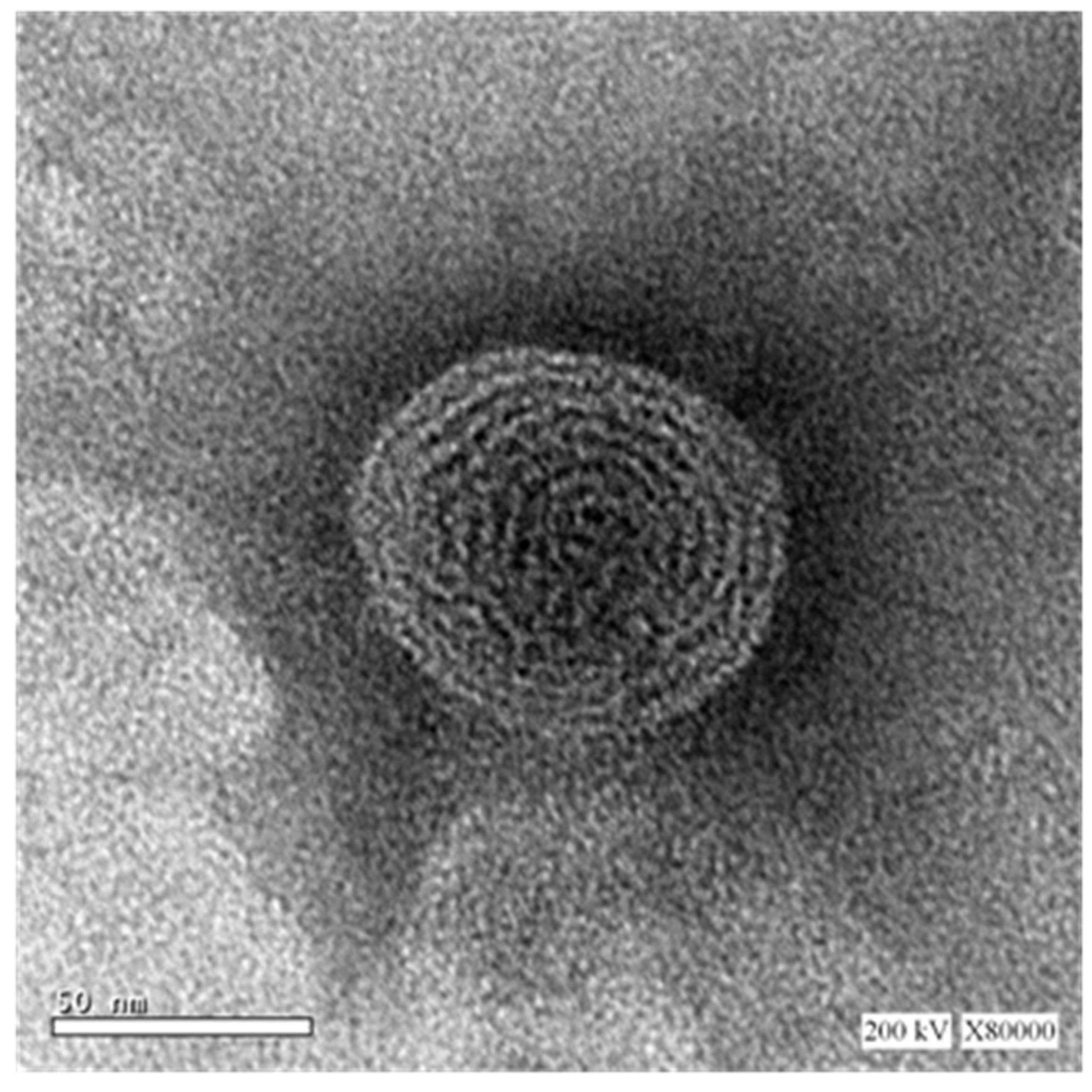 Pharmaceutics 12 00597 g004 Pharmaceutics 12 00597 g004