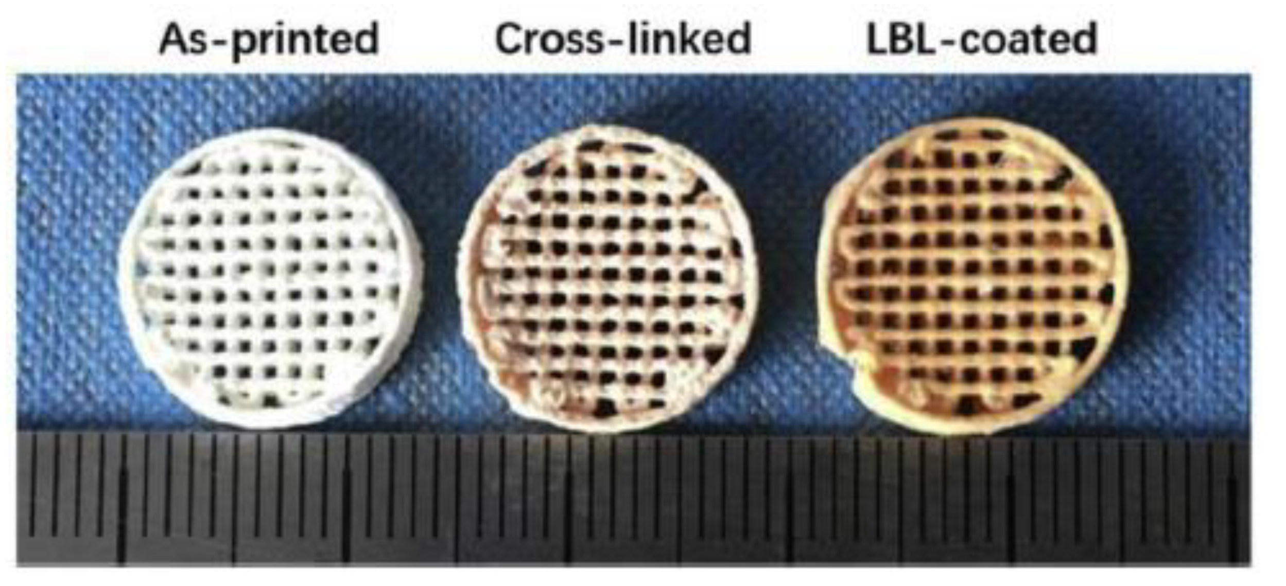 Pharmaceutics 12 00620 g004