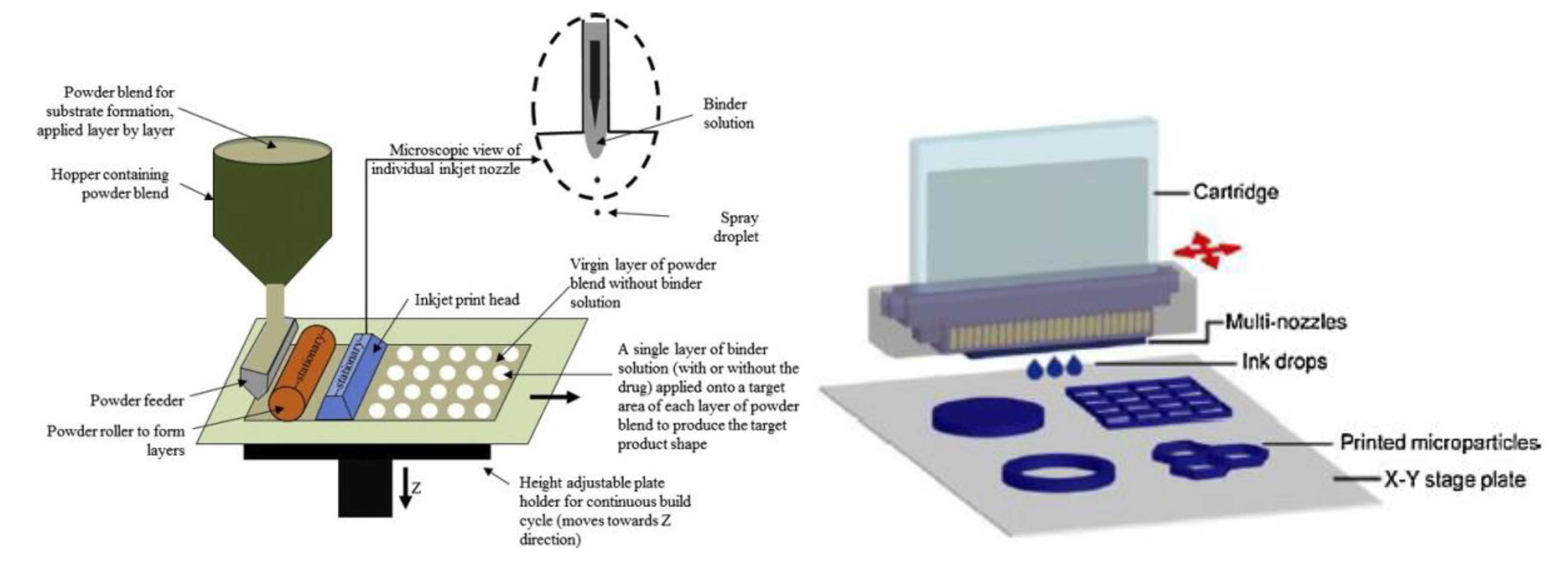 Pharmaceutics 12 00620 g006
