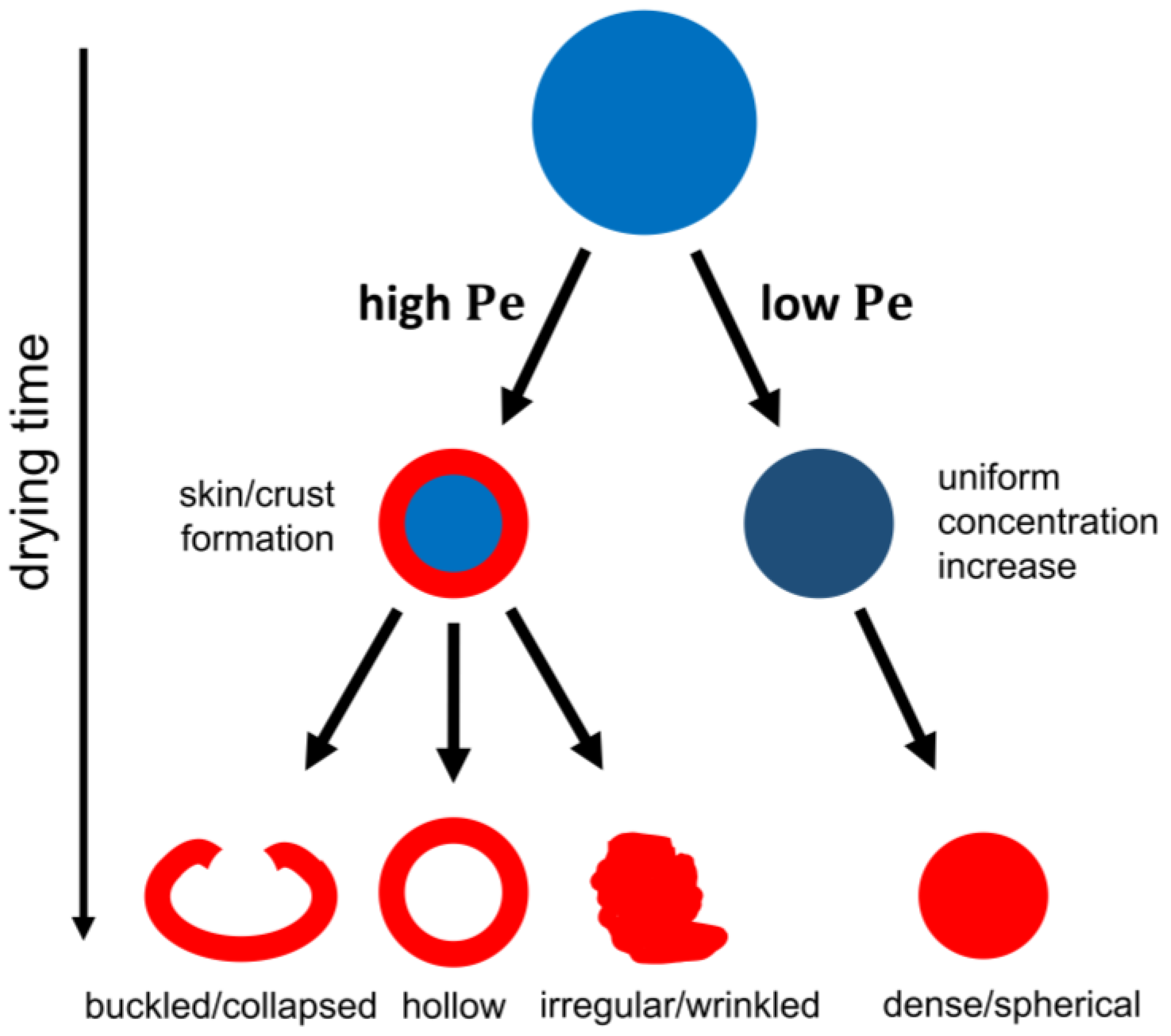 Pharmaceutics 12 00625 g004 Pharmaceutics 12 00625 g004