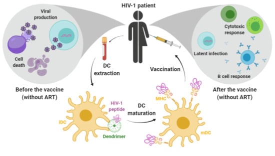 Pharmaceutics | Free Full-Text | Nanoparticle-Delivered HIV Peptides to ...