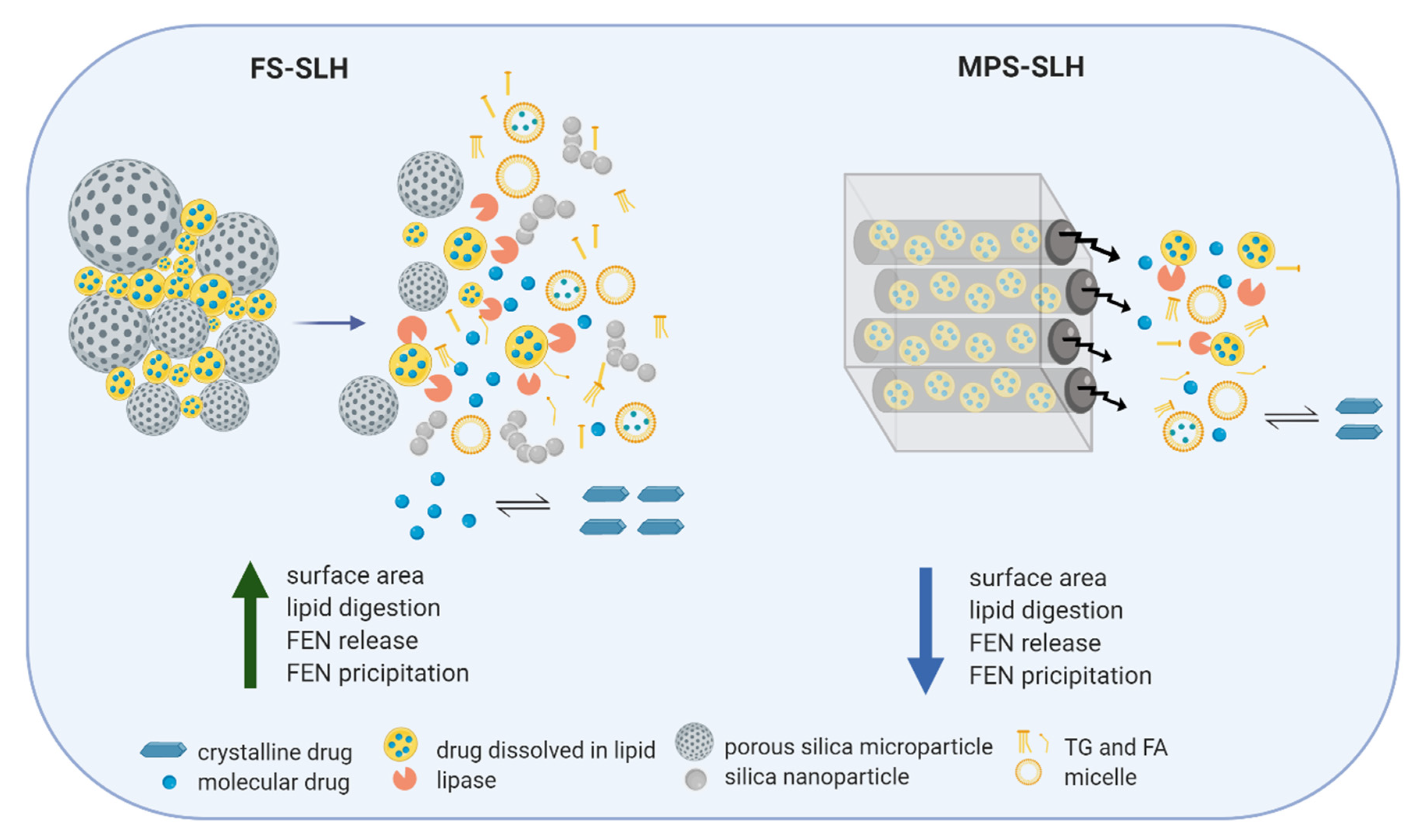 Pharmaceutics Free Full Text Porous Nanostructure Lipid Composition And Degree Of Drug Supersaturation Modulate In Vitro Fenofibrate Solubilization In Silica Lipid Hybrids Html