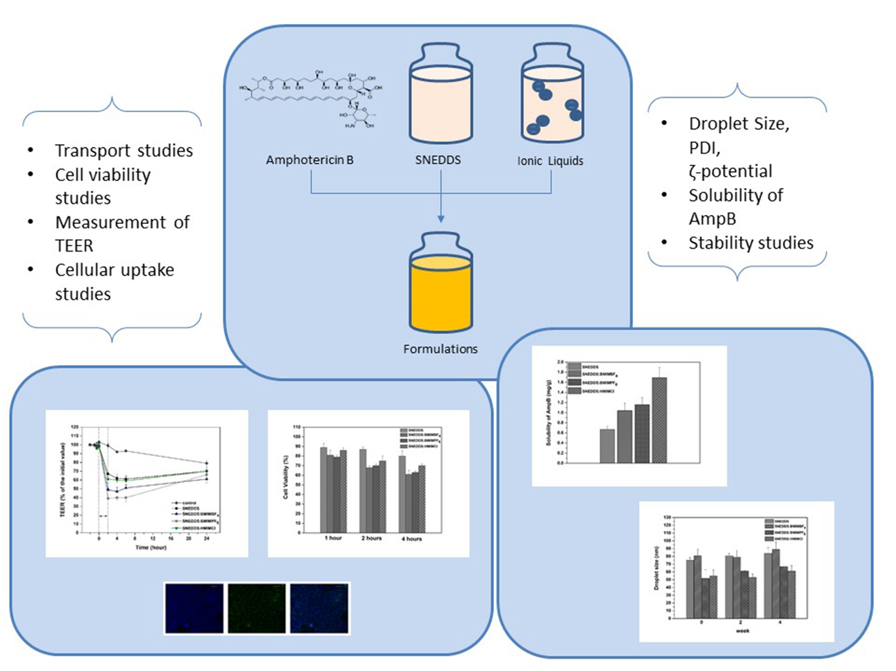 Pharmaceutics | Free Full-Text | In Vitro Evaluation of  Self-Nano-Emulsifying Drug Delivery Systems (SNEDDS) Containing Room  Temperature Ionic Liquids (RTILs) for the Oral Delivery of Amphotericin B
